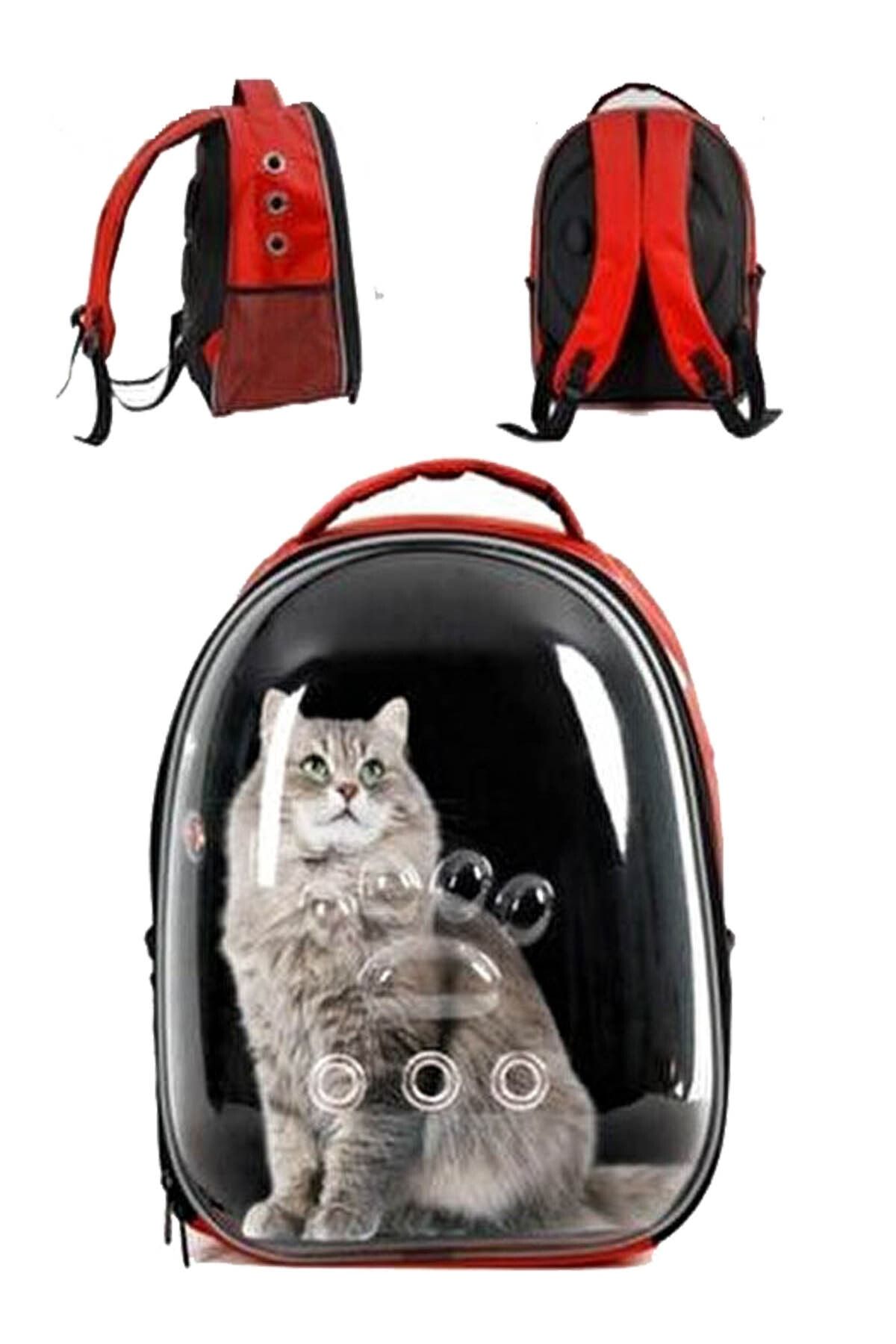 WONDi Kırmızı Şeffaf Astronot Kedi Köpek Taşıma Sırt Çantası