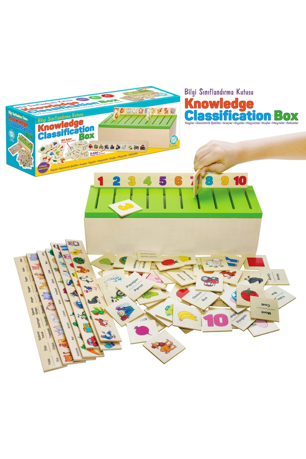 Circle Toys Montessori Bilgi Sınıflandırma Kutusu -