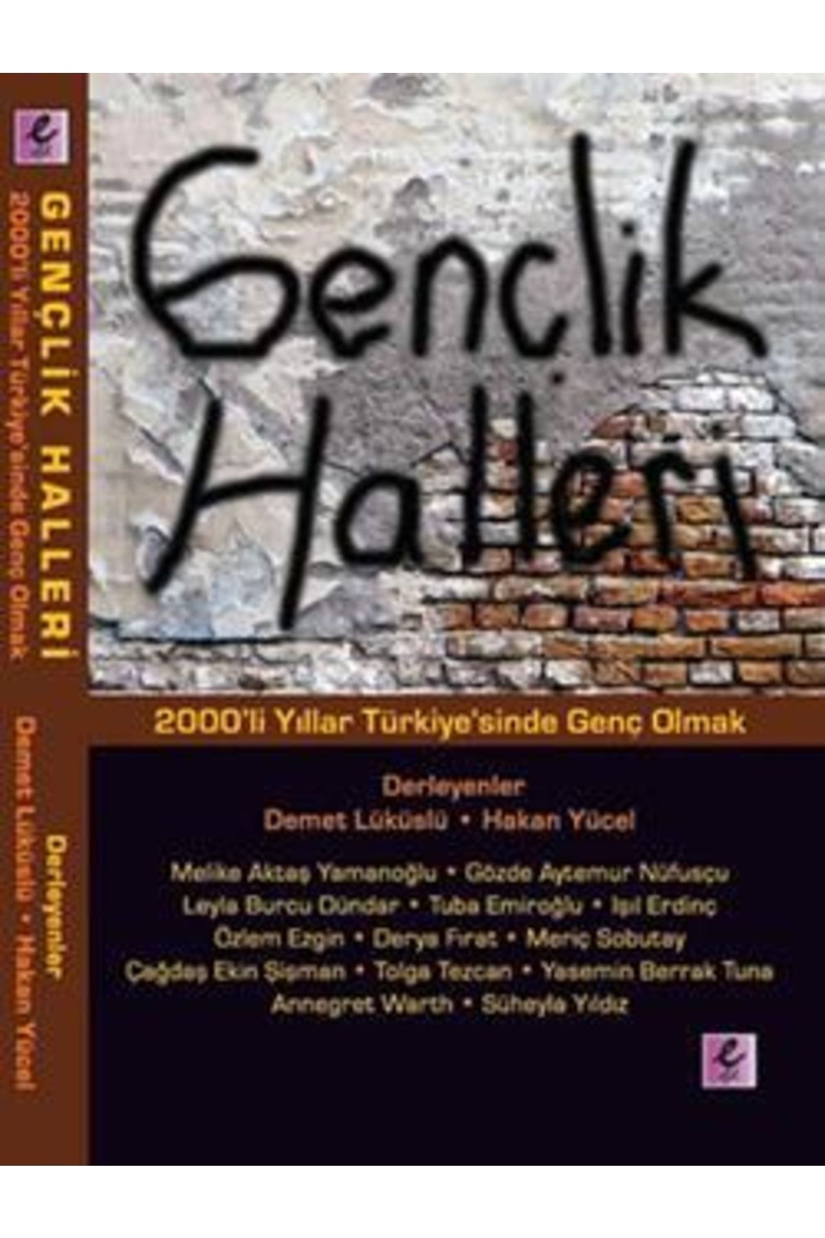Efil Yayınevi Gençlik Halleri 2000'li Yıllar Türkiye'sinde Genç Olmak
