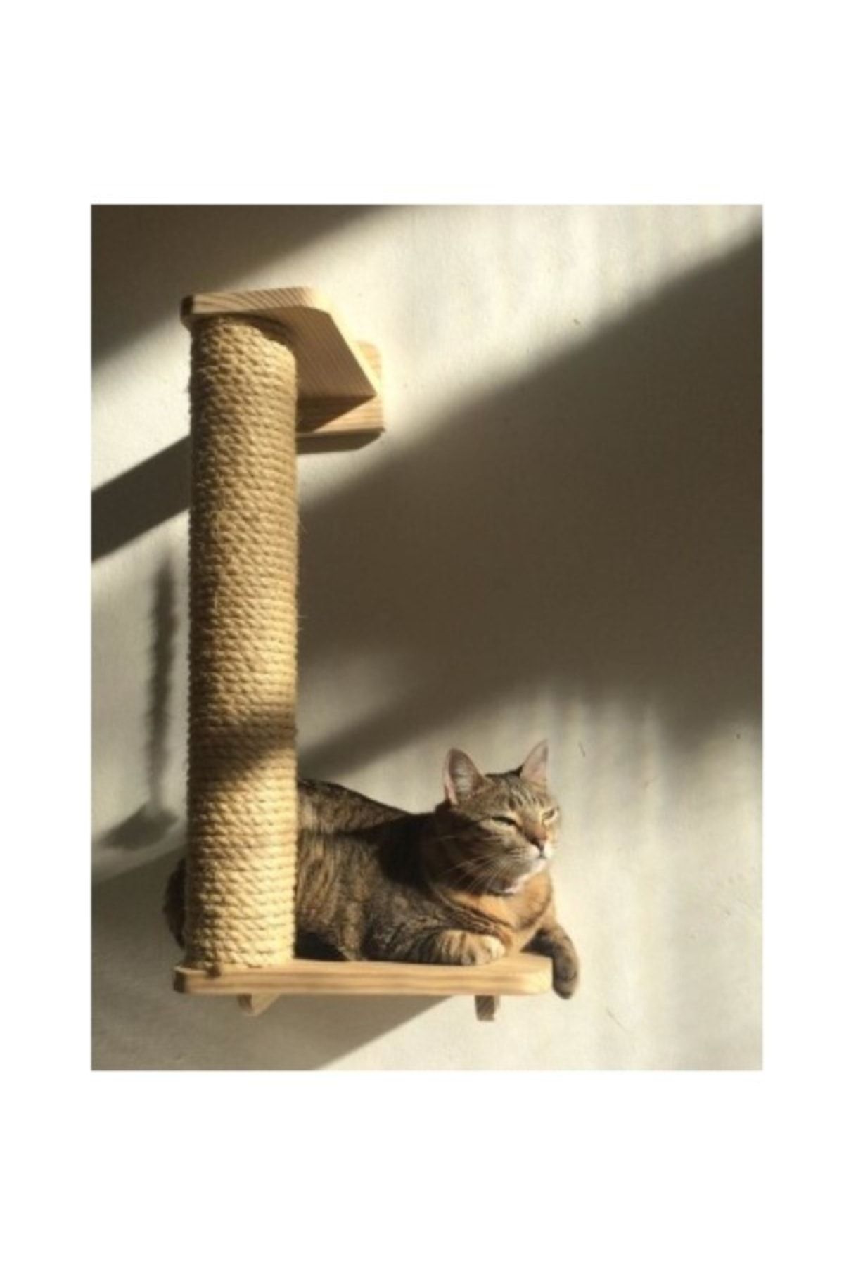 naturbird Kedi Tırmalama Tahtası Kedi Standı Ahşap Kedi Tırmalama