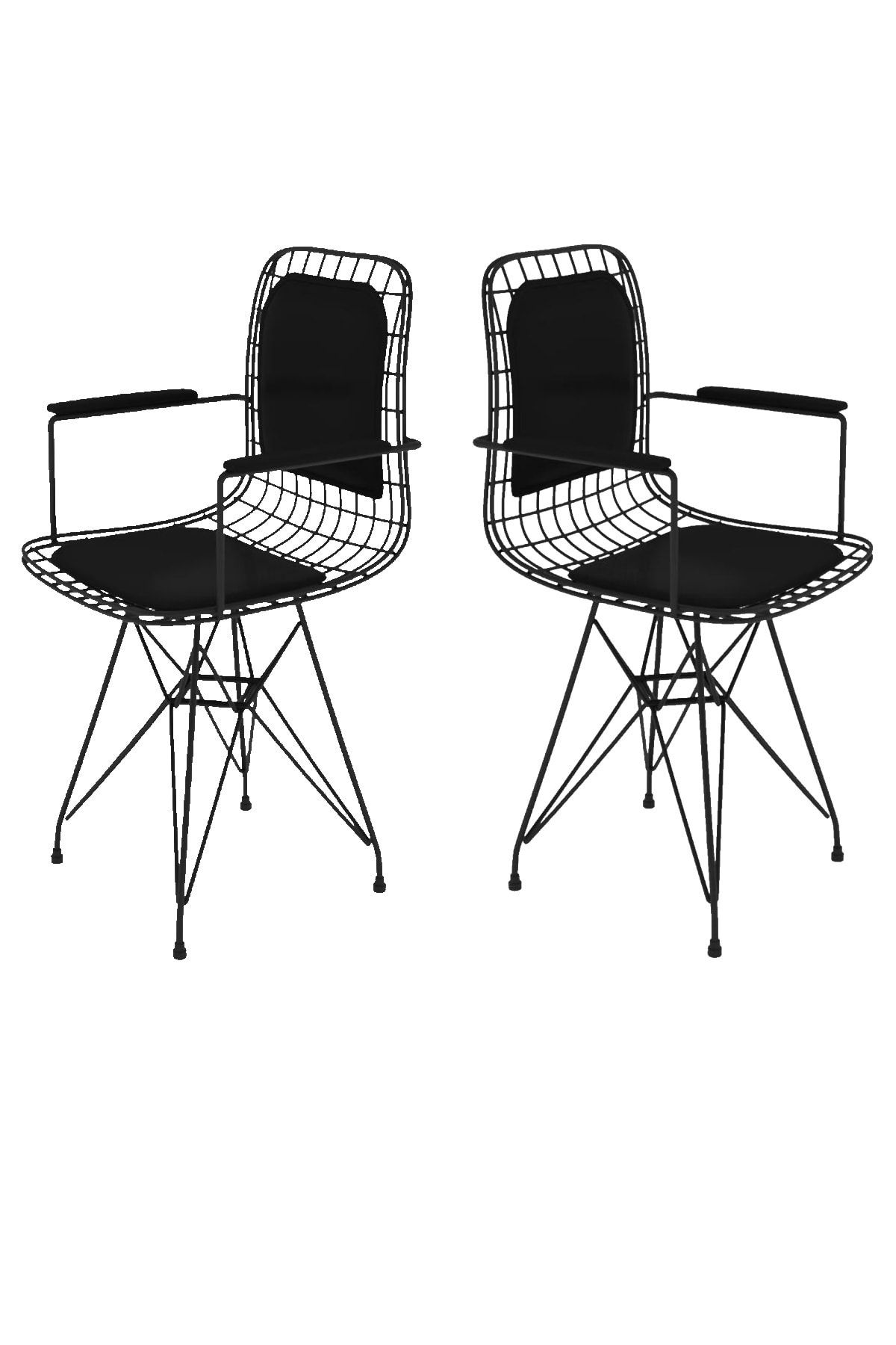 Kenzlife Kafes Tel Sandalyesi 2 li Mazlum Syhsyh Kolçaklı Sırt Minderli Ofis Cafe Bahçe Mutfak