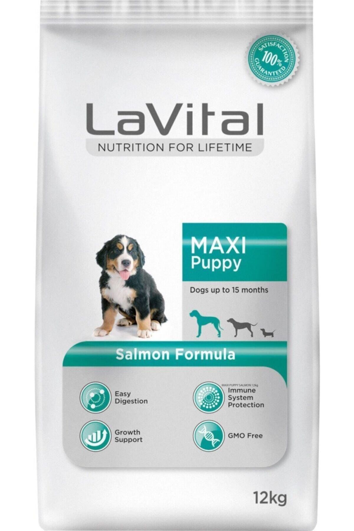 La Vital LaVital Maxi Puppy Somonlu Büyük Irk Yavru Köpek Maması 12 Kg