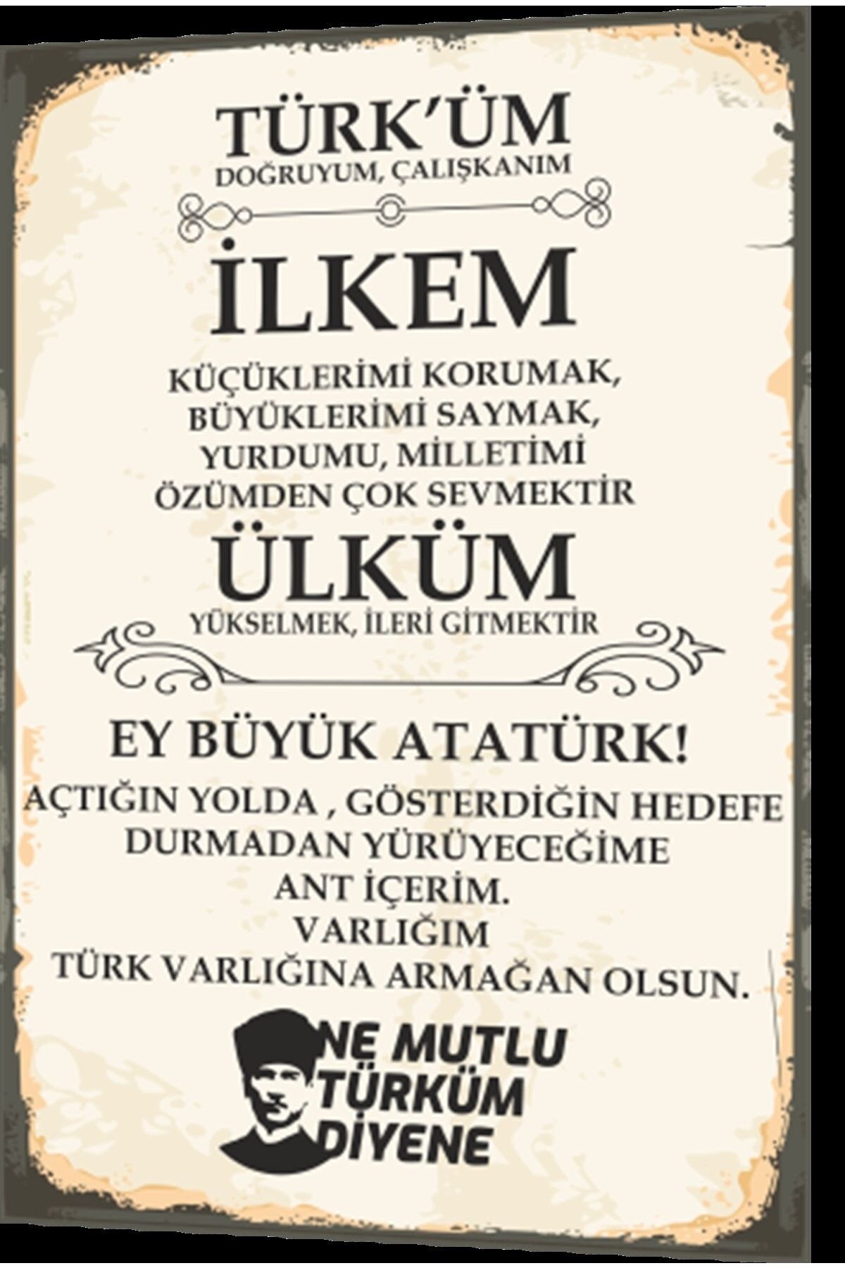 Hayat Poster Andımız Türküm Doğruyum Çalışkanım Atatürk Retro Ahşap Poster