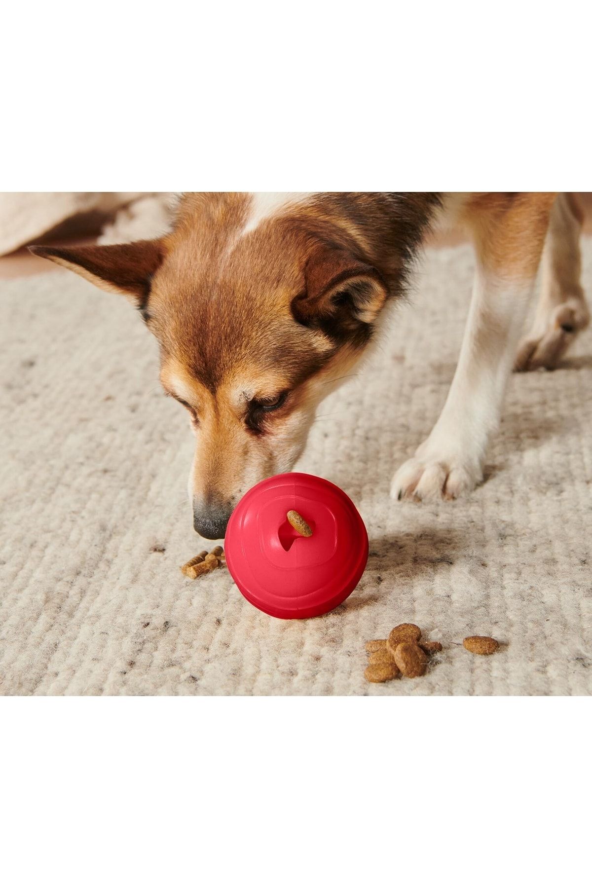 Tchibo Köpek Oyuncağı »ödül Topu«