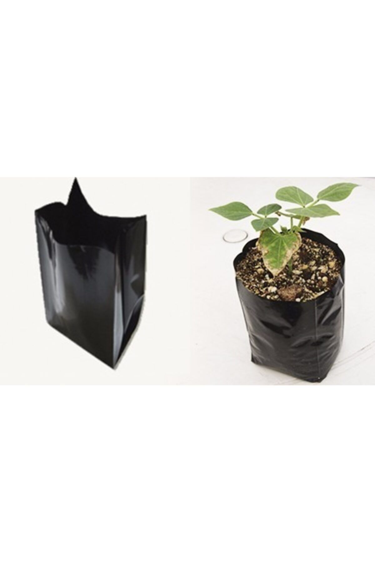 Doğalsan Tarım Fidan Poşeti 60 Adet 11x22 Cm Fidan Torbası Fide Poşeti Fide Torbası Fide Fidan Yetiştirme Poşet
