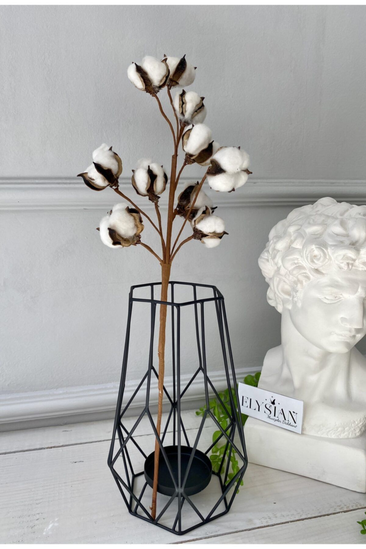 Genel Markalar Doğal Pamuk Dalları 1 Dal 10lu Pamuklar Dekoratif Beyaz Yapay Çiçek Minimal Dekor