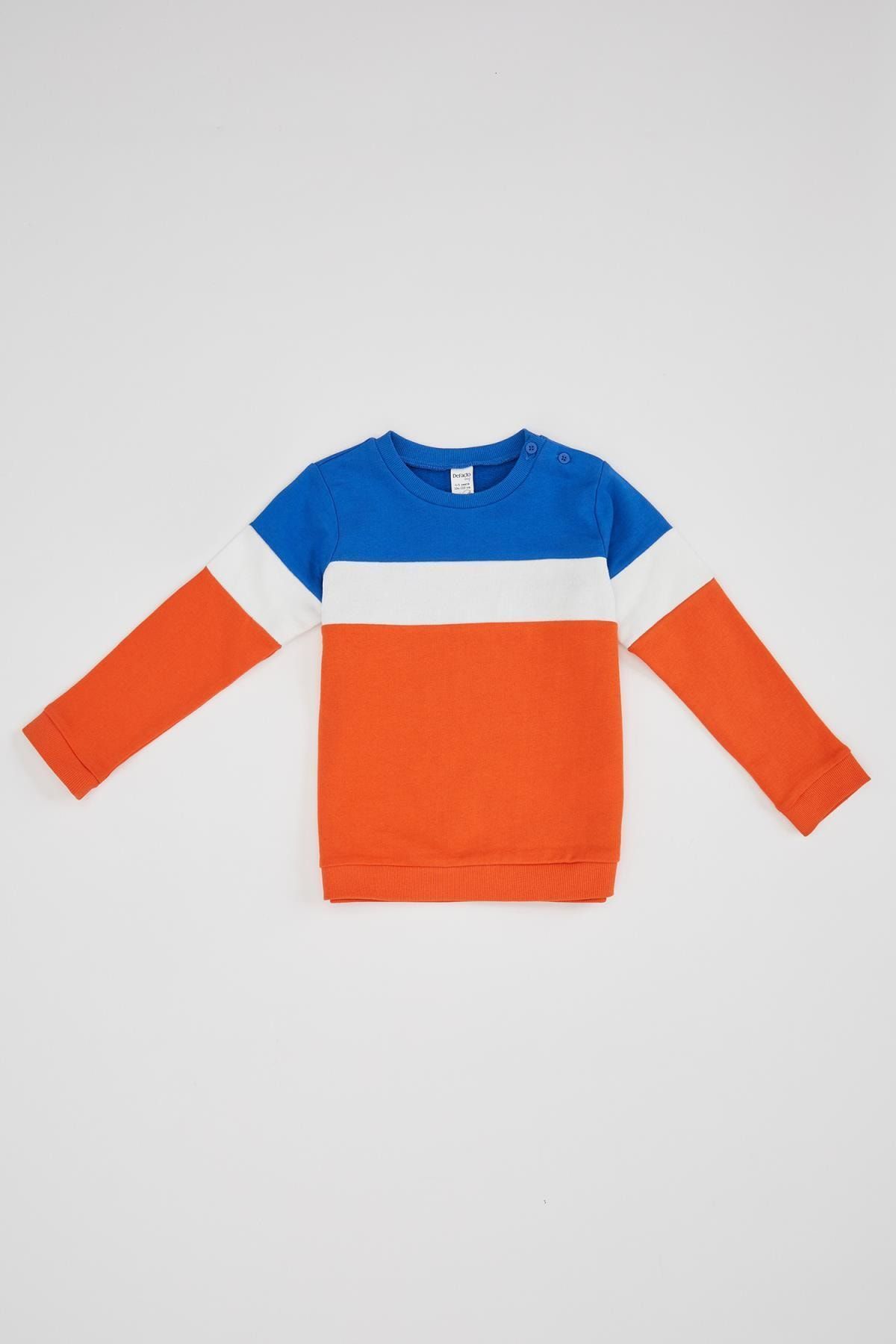 Defacto Erkek Bebek Renk Bloklu Sweatshirt
