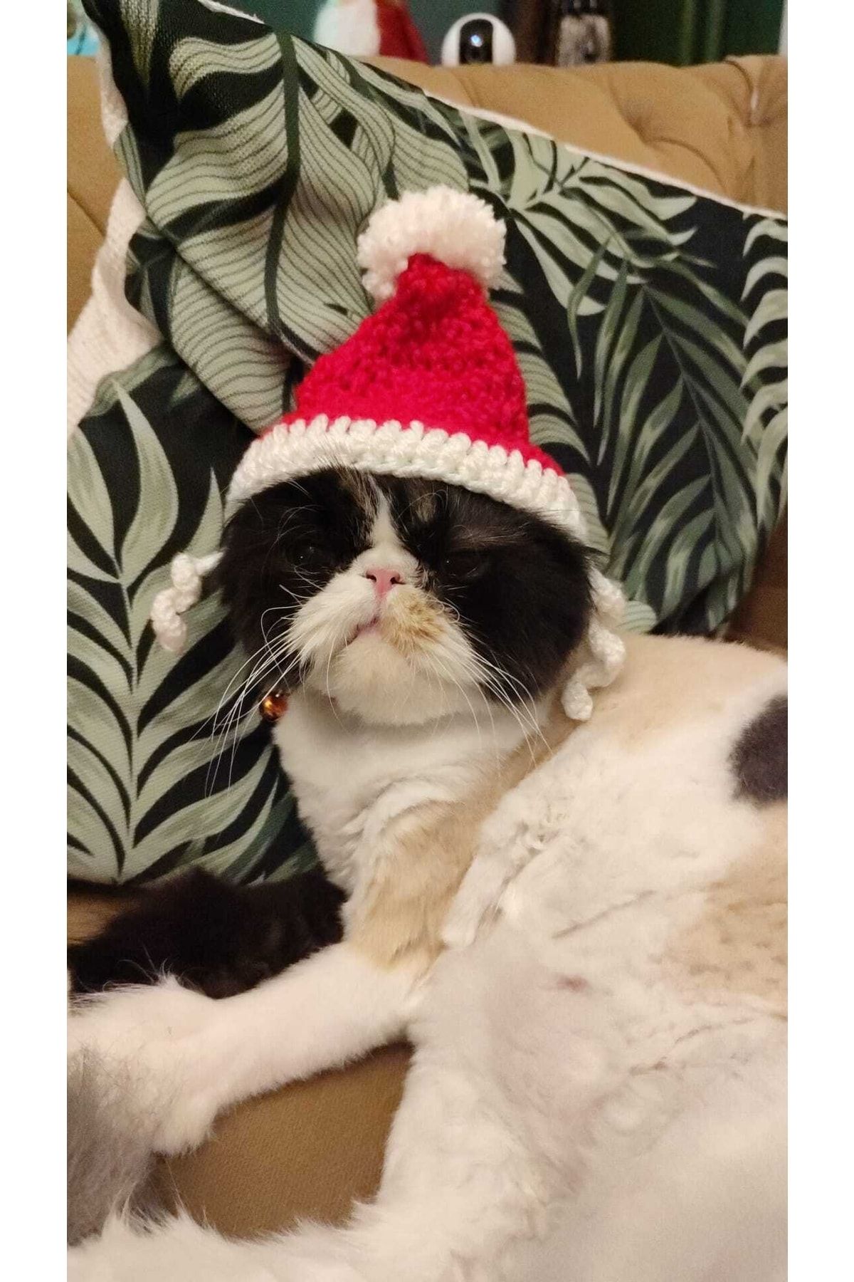 PET KNITTING STYLE Yılbaşı Kedi Şapkası Ve Boyunluğu