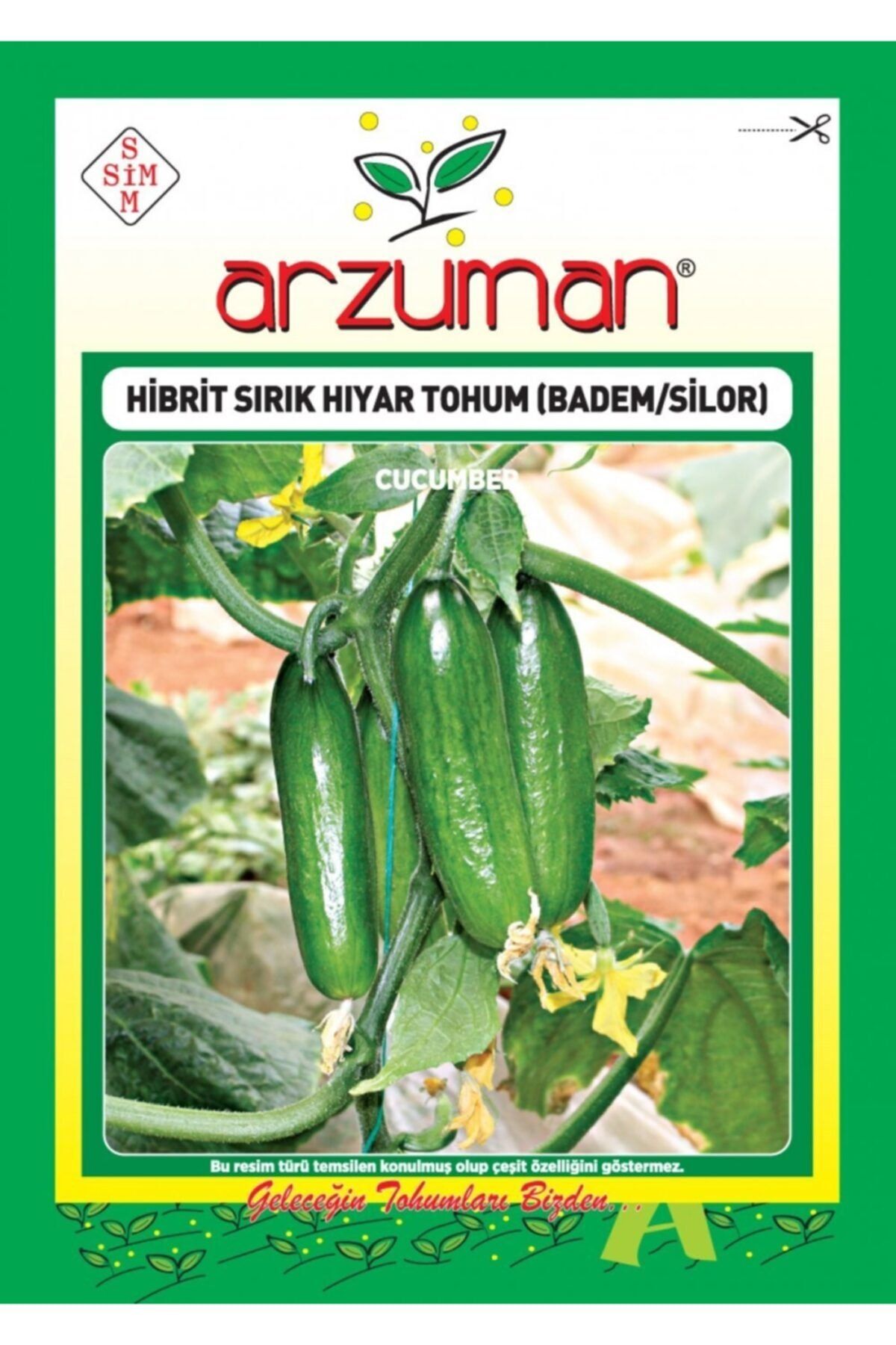 Arzuman Hibrit Sırık Salatalık Tohumu (10 Adet) Badem/silor