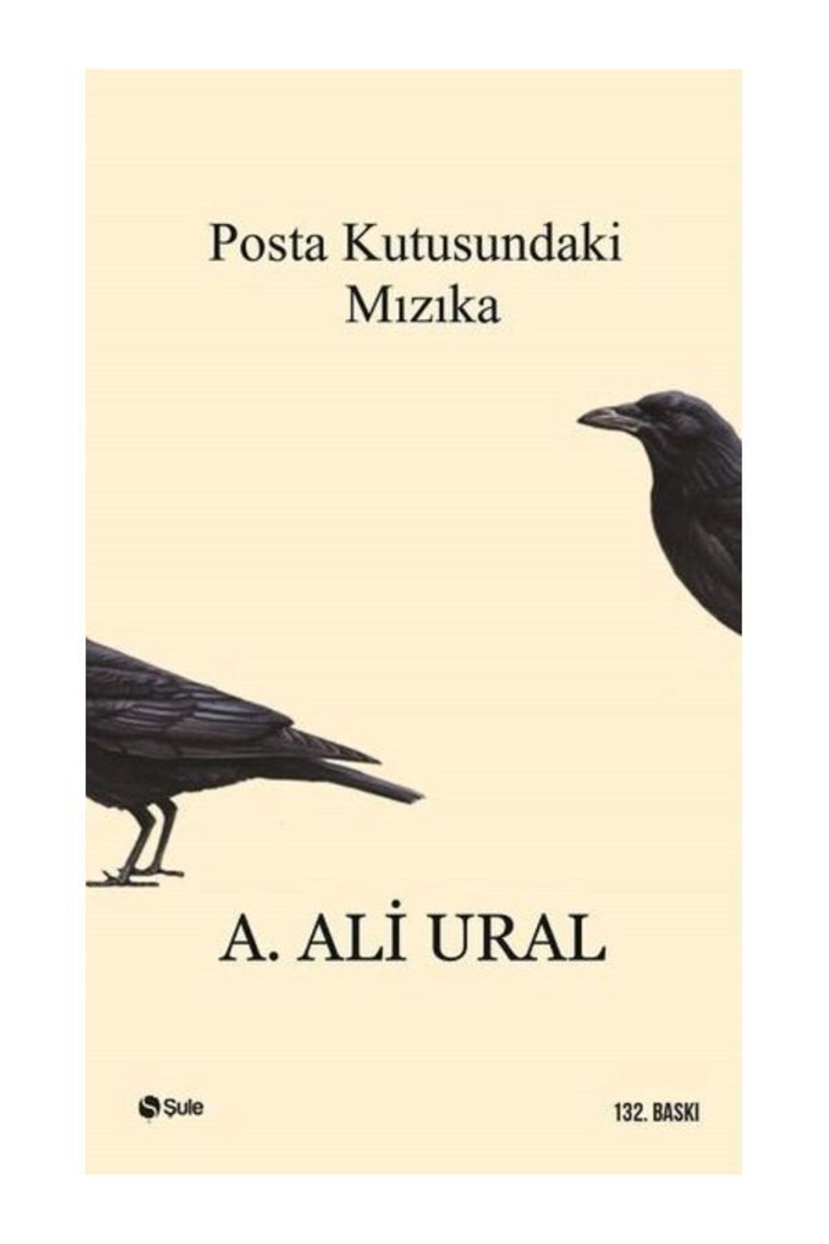 Şule Yayınları Posta Kutusundaki Mızıka A. Ali Ural