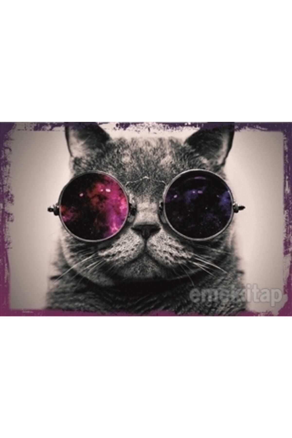 Melisa Poster Gözlüklü Kedi Poster
