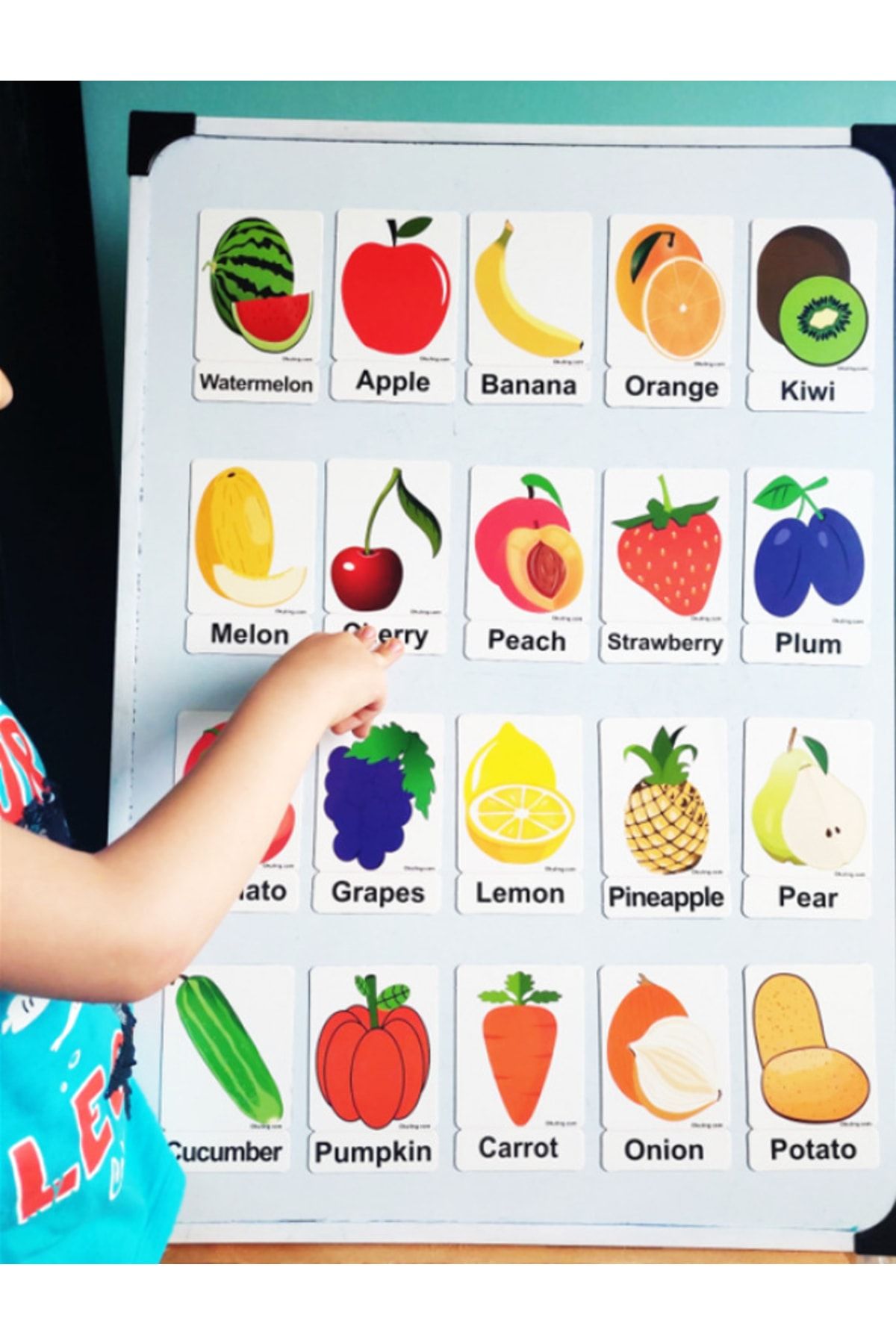 Okuling Manyetik Ingilizce Kelime Kartları Flashcards - Meyveler Ve Sebzeler / Fruits And Vegetables