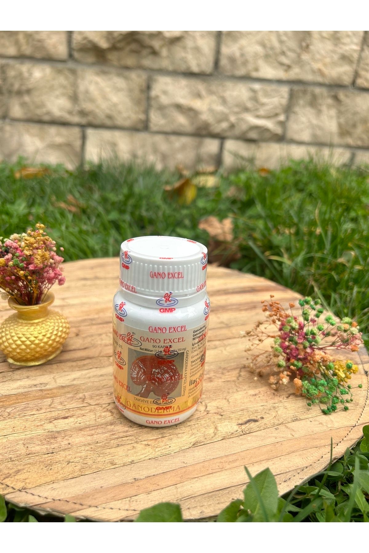 GanoExcel Ganoderma Kapsül (TAKVİYE EDİCİ GIDA)