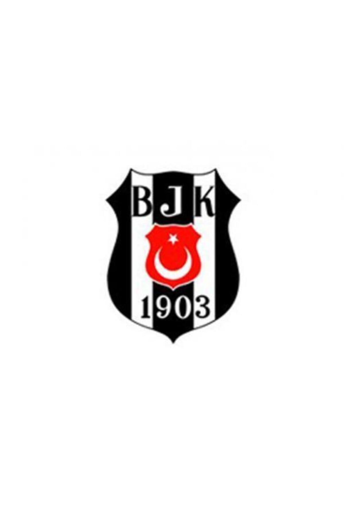 Beşiktaş A-5 Beşiktaş Temalı Hazır Defter Kabı Pp Opak 25 Li (1 Paket 25 Adet)