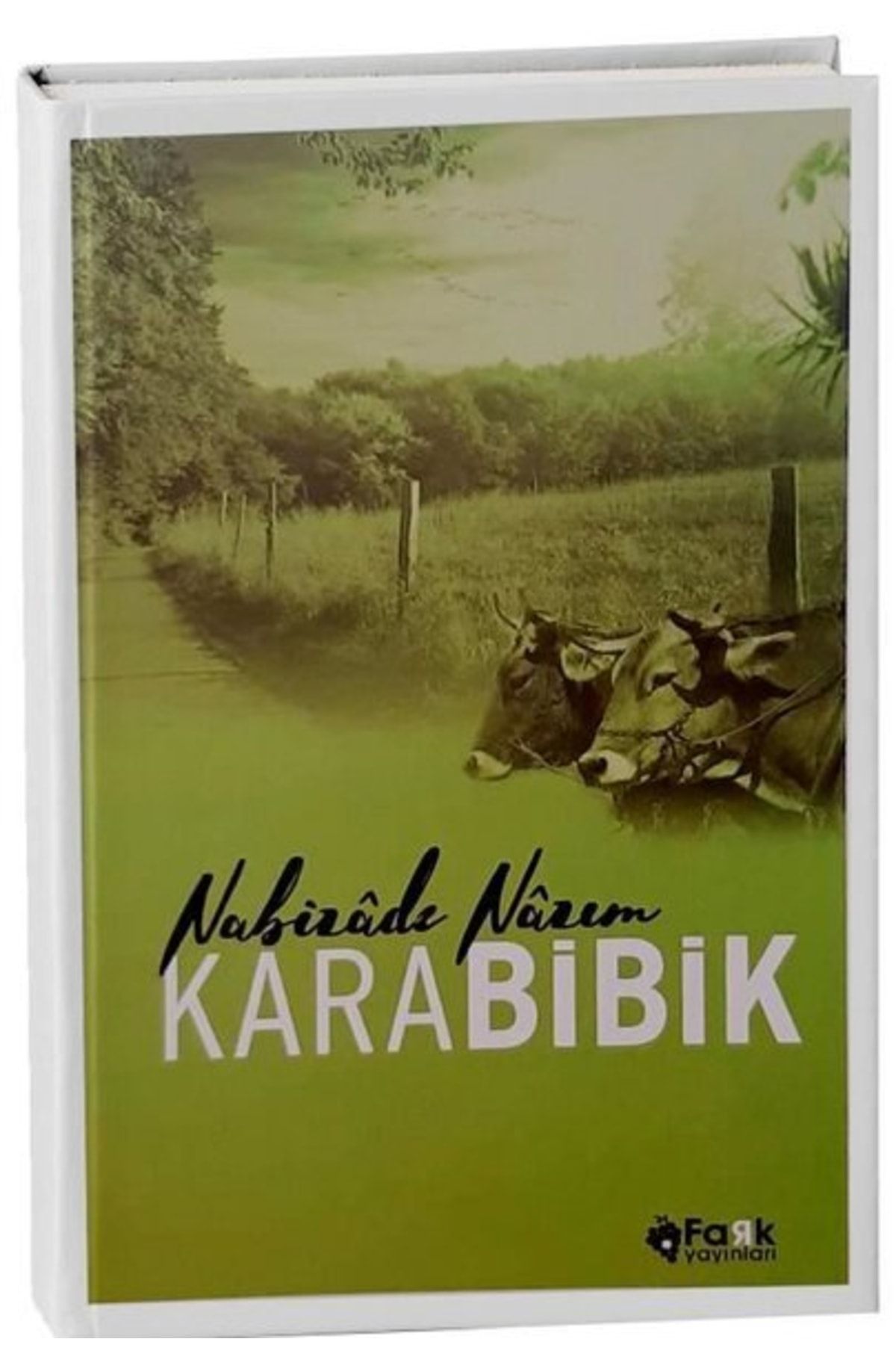Fark Yayınları Karabibik