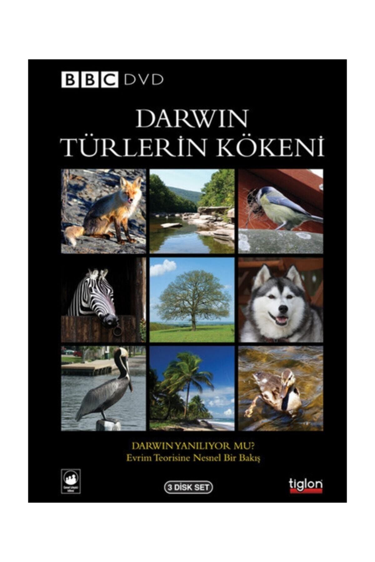 BBC Charles Darwin: Türlerin Kökeni (3 Disc)