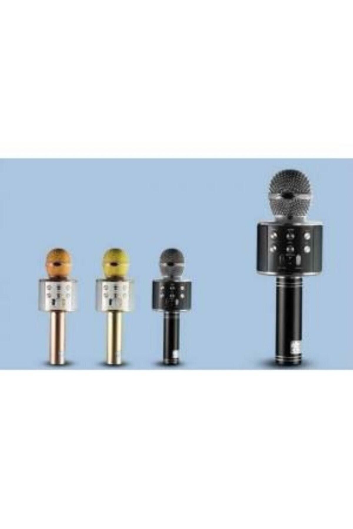 Platoon Pl-2455 Bluetooth Karaoke Mikrofon Sd-usb