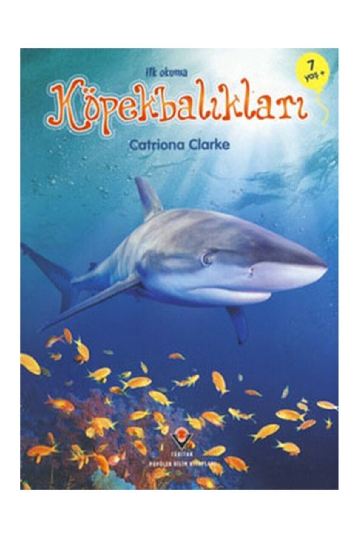 Tübitak Yayınları Ilk Okuma - Köpekbalıkları Catriona Clarke - Catriona Clarke
