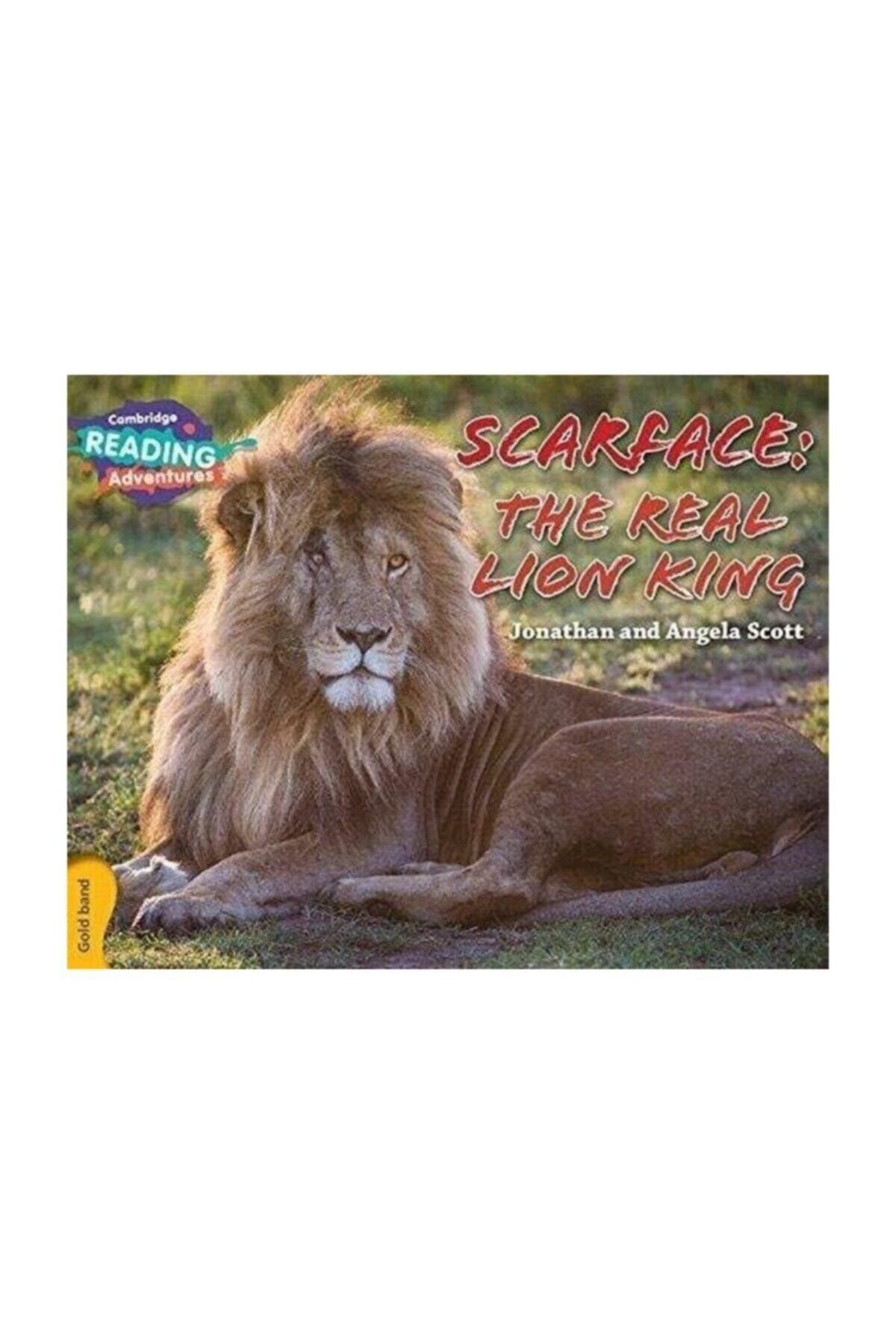 Cambridge University Gold Band- Scarface: The Real Lion King Reading Adventures