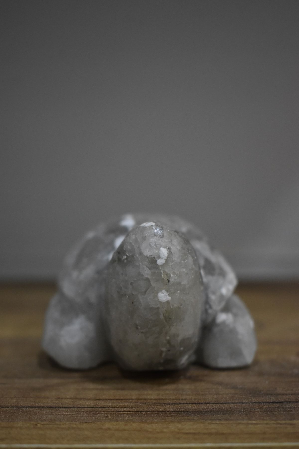 Seta Kaplumbağa Model Tuz Biblo