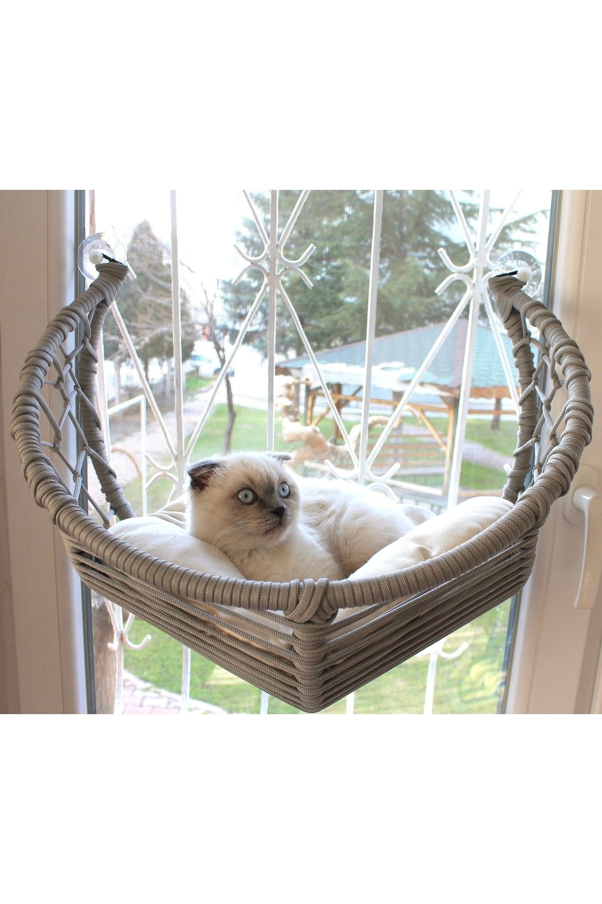 lüxperi Kedi Cam Yatağı & Cam Askılı Vantuzlu Kedi Yatağı