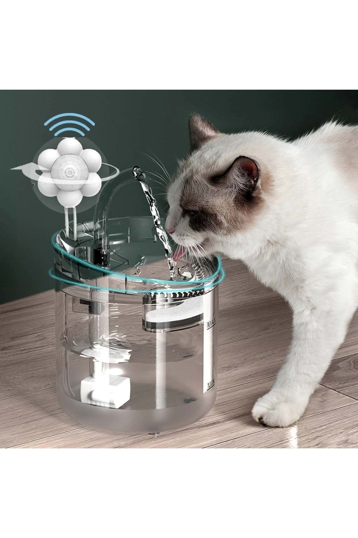 DailyLink Hareket Sensörlü Kedi Köpek Için Sessiz Şeffaf Otomatik Su Pınarı Su Çeşmesi Su Sebili