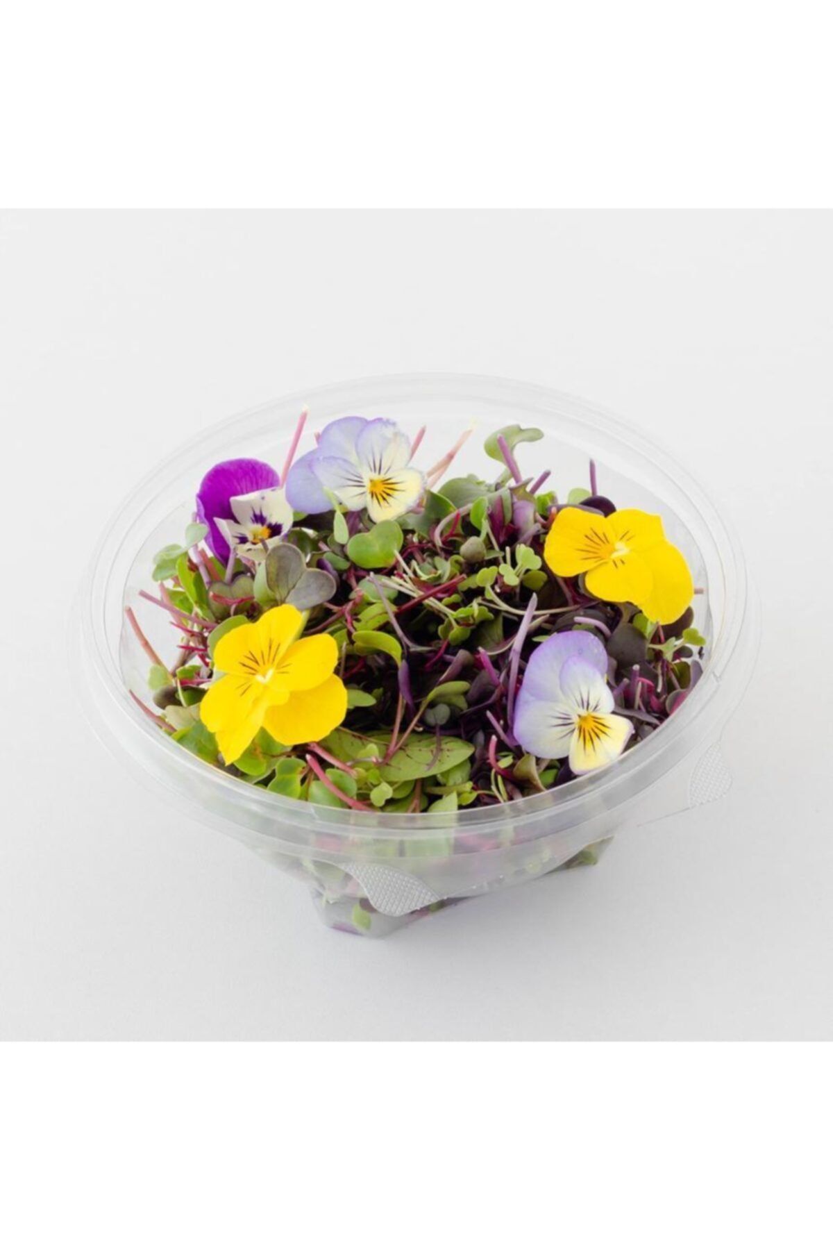 Mimi Çiftliği Yemeye Hazır Filiz Salatası- Şef Salata