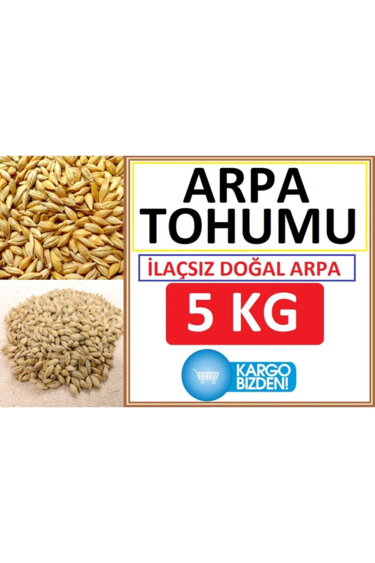 Agrobazaar Arpa Tohumu 5 Kg Doğal Arpa Tohumu Arpa Tohumları