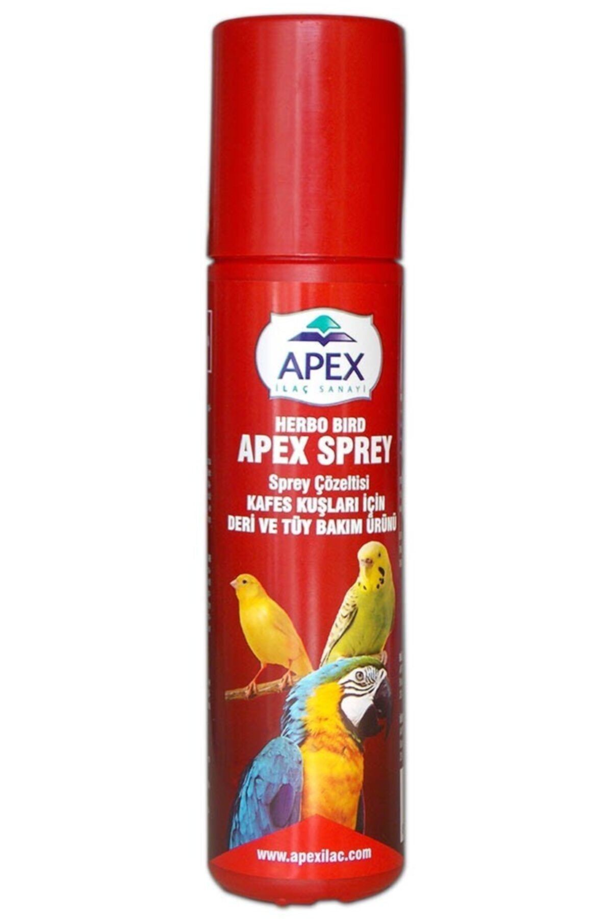 Pi İthalat Papağan Deri Ve Tüy Bakımı - Apex
