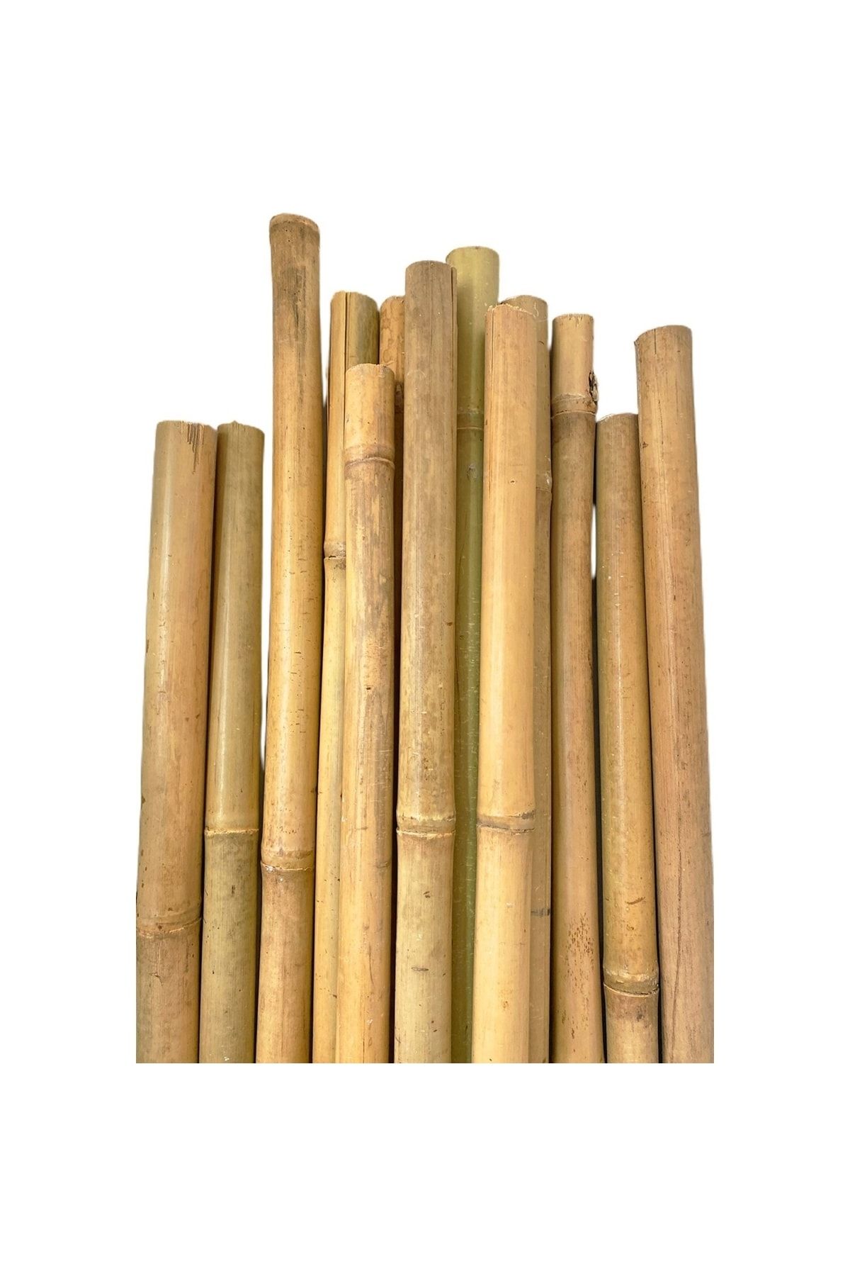 Gardenonya Bambu Bitki Destek Çubuğu 30 Cm (15 Adet) Orjinal Bambu