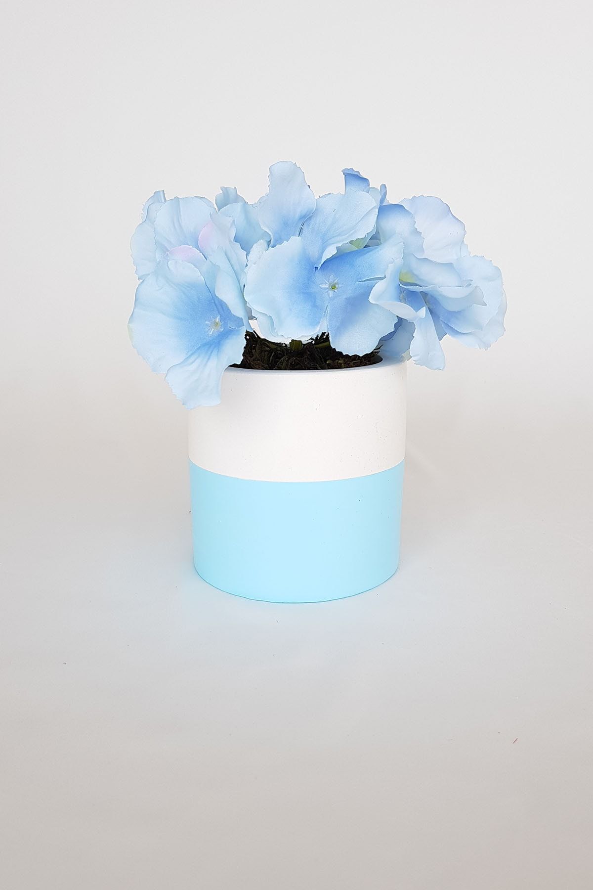 adresiburasi Beton Saksıda Yapay Ortanca Masa Çiçeği Mavi