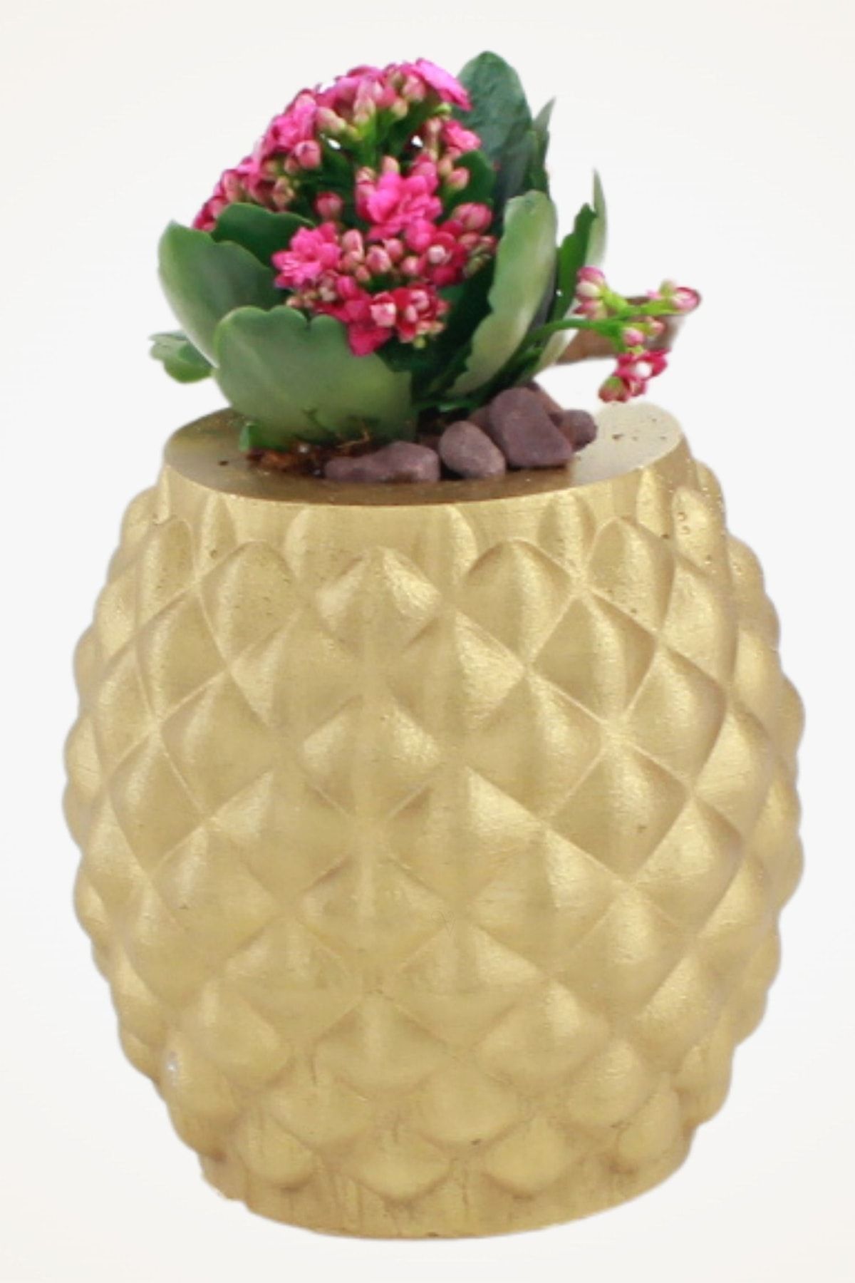 Viselia Dekoratif Saksı Altın Büyük Çiçek Saksısı Ananas Model
