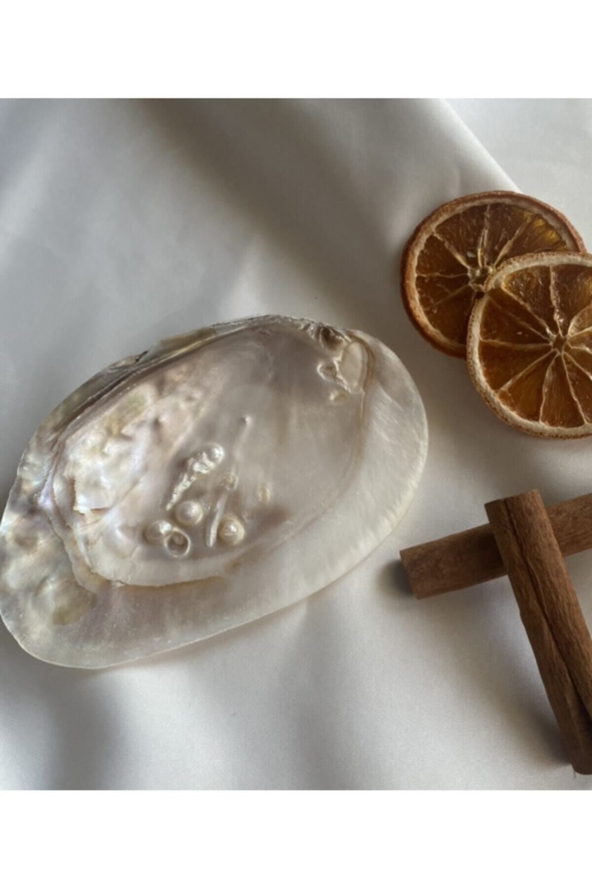meri aromaterapi Doğal Sedef Istiridye Deniz Kabuğu Tütsülük