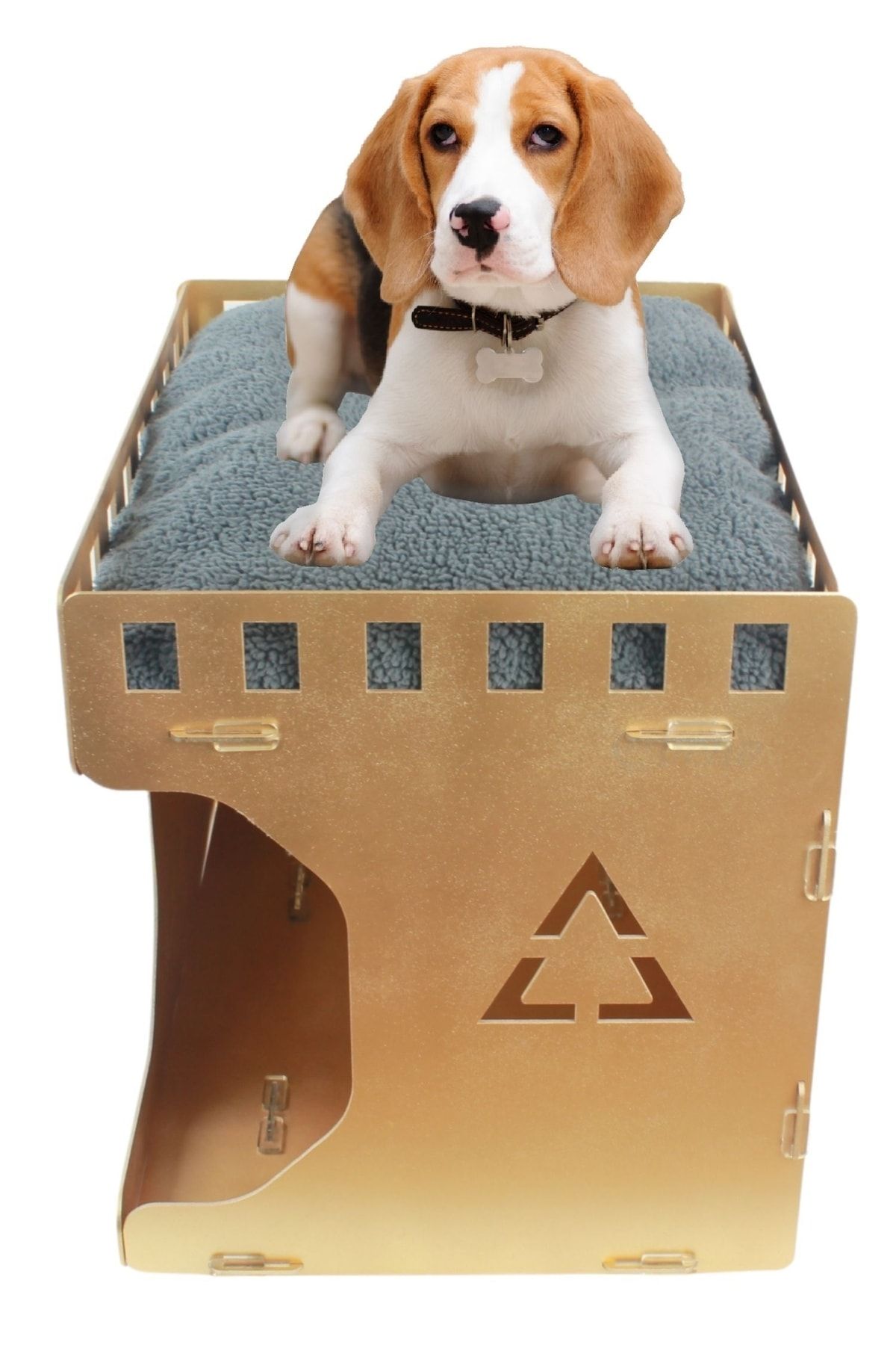 Evene Köpek Kulübesi Köpek Evi Ahşap Köpek Kulübesi Köpek Yuvası Model 2 Altın