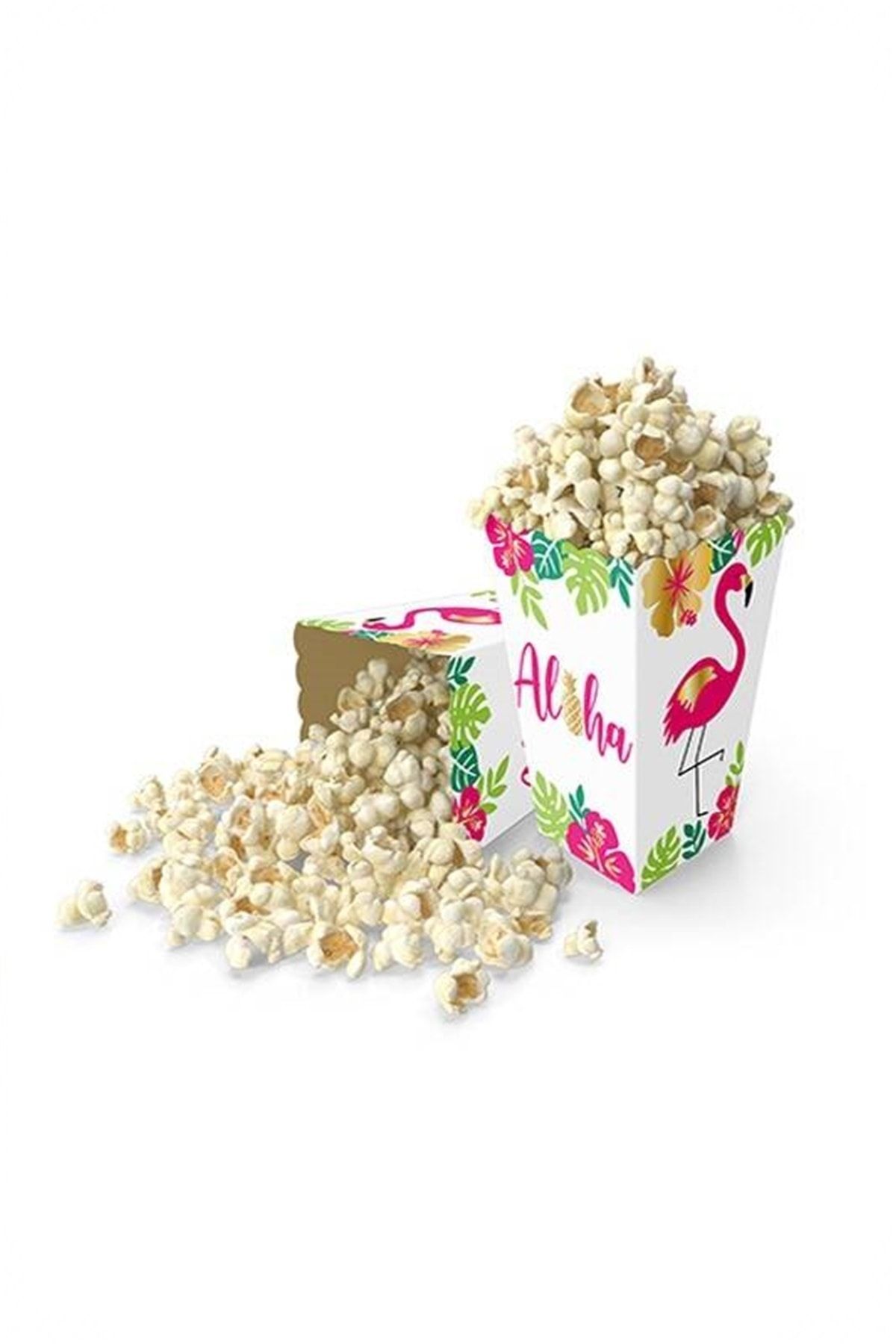BİDOLUMUTLULUK Popcorn Kutusu  Mısır Cips Kutusu  8 Adet