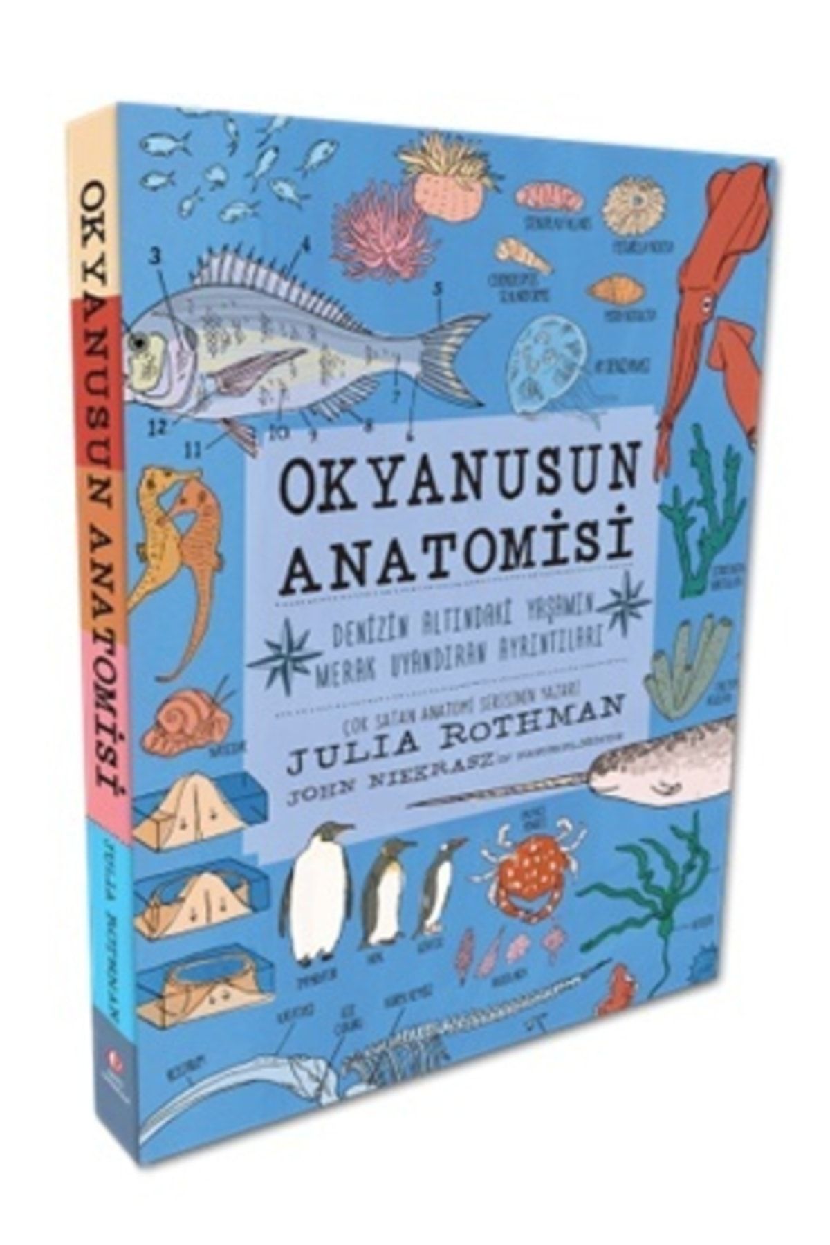 Tübitak Yayınları Okyanusun Anatomisi - Odtü Geliştirme Vakfı Yayıncılık - Julia Rothman Kitabı