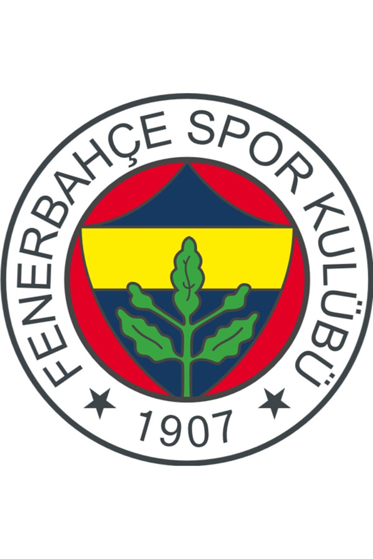 Fenerbahçe Fenerbahçe Pinyata ce Sopası Çikolata ve Şeker İçerikli