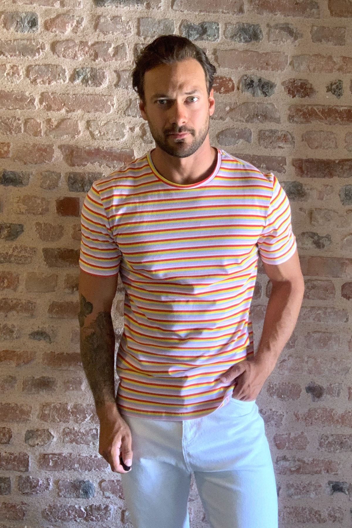 TRENDYOL MAN Çok Renkli Erkek T-Shirt TMNSS20TS1681