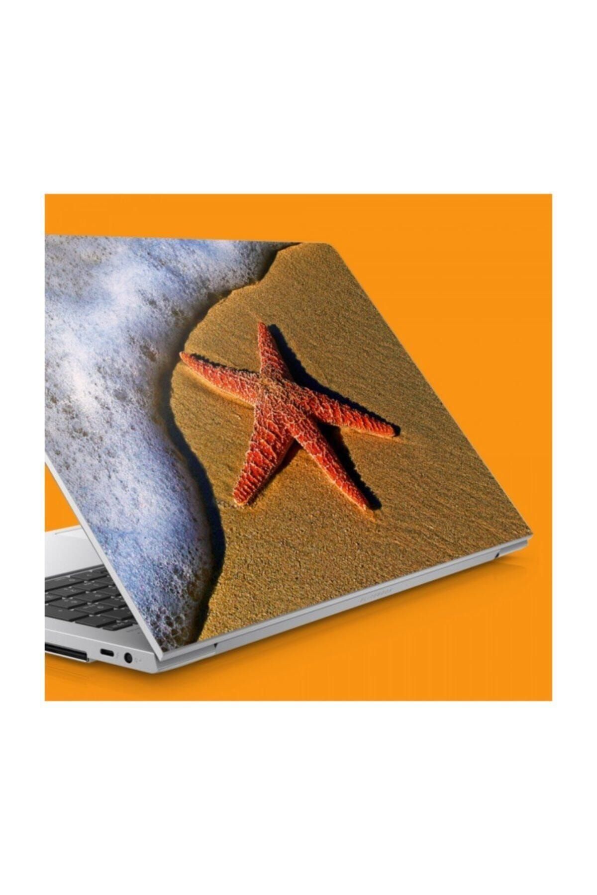 KT Decor Sahilde Deniz Yıldızı Notebook Sticker