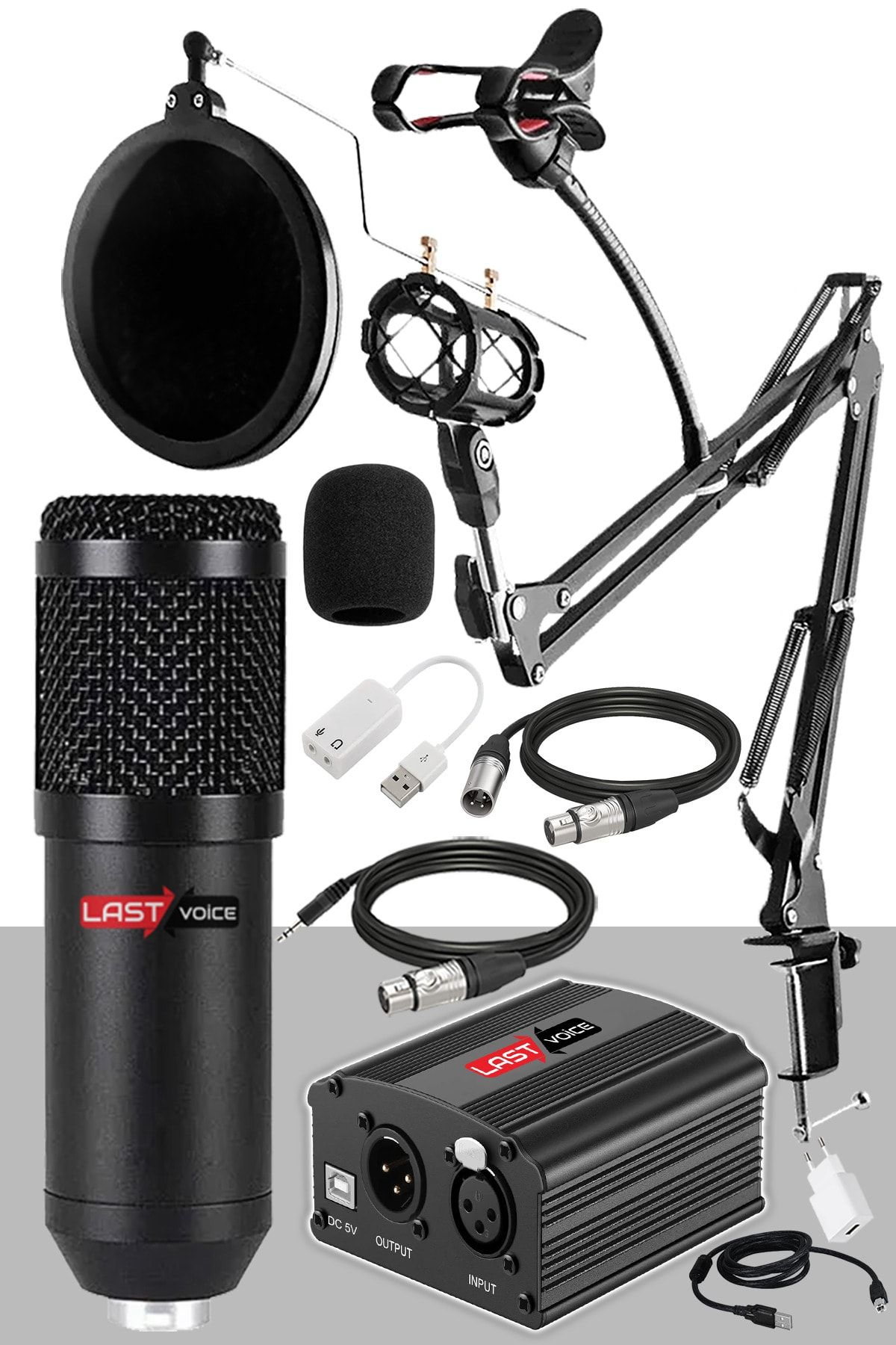 Lastvoice Home Paket Bm800 Mikrofon + Set-01 Stand + Phantom Power