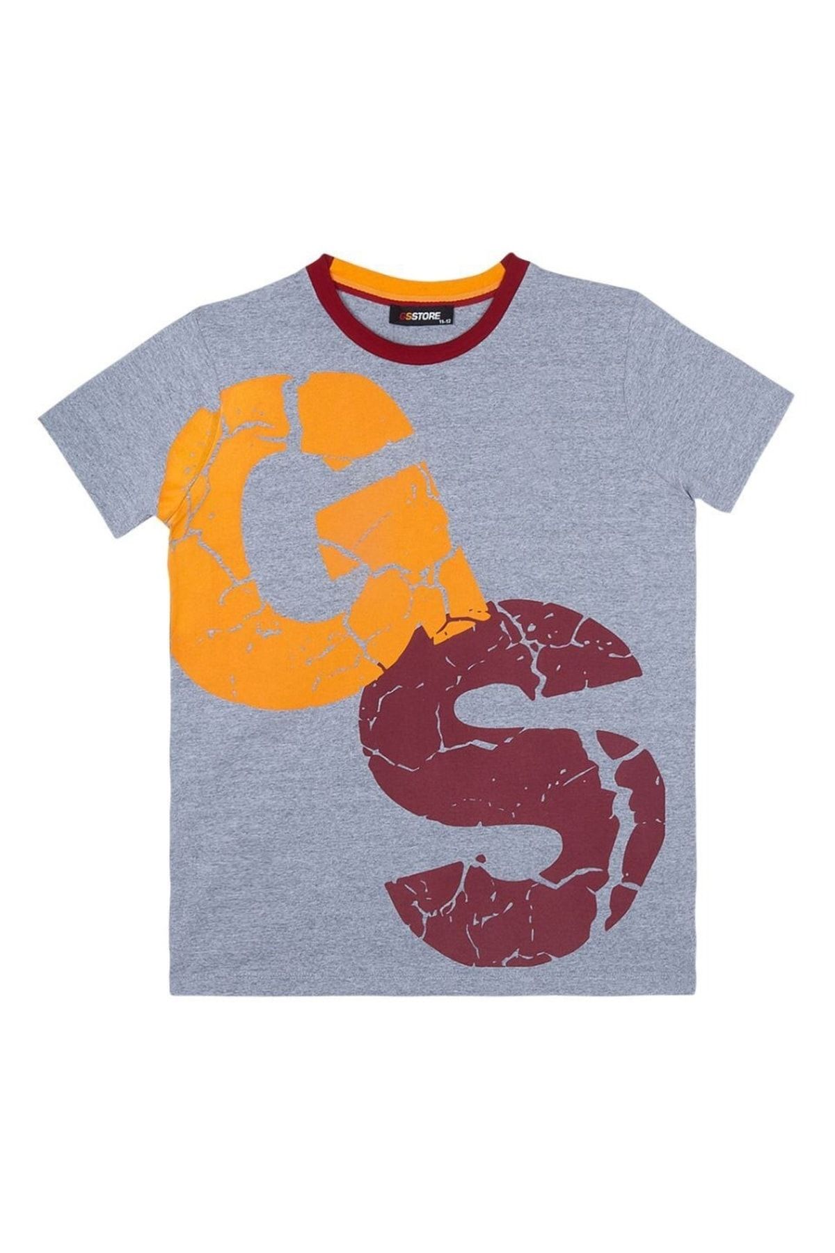 Galatasaray Galatasaray Çocuk Lisanslı Armalı Gri Tshirt C13708
