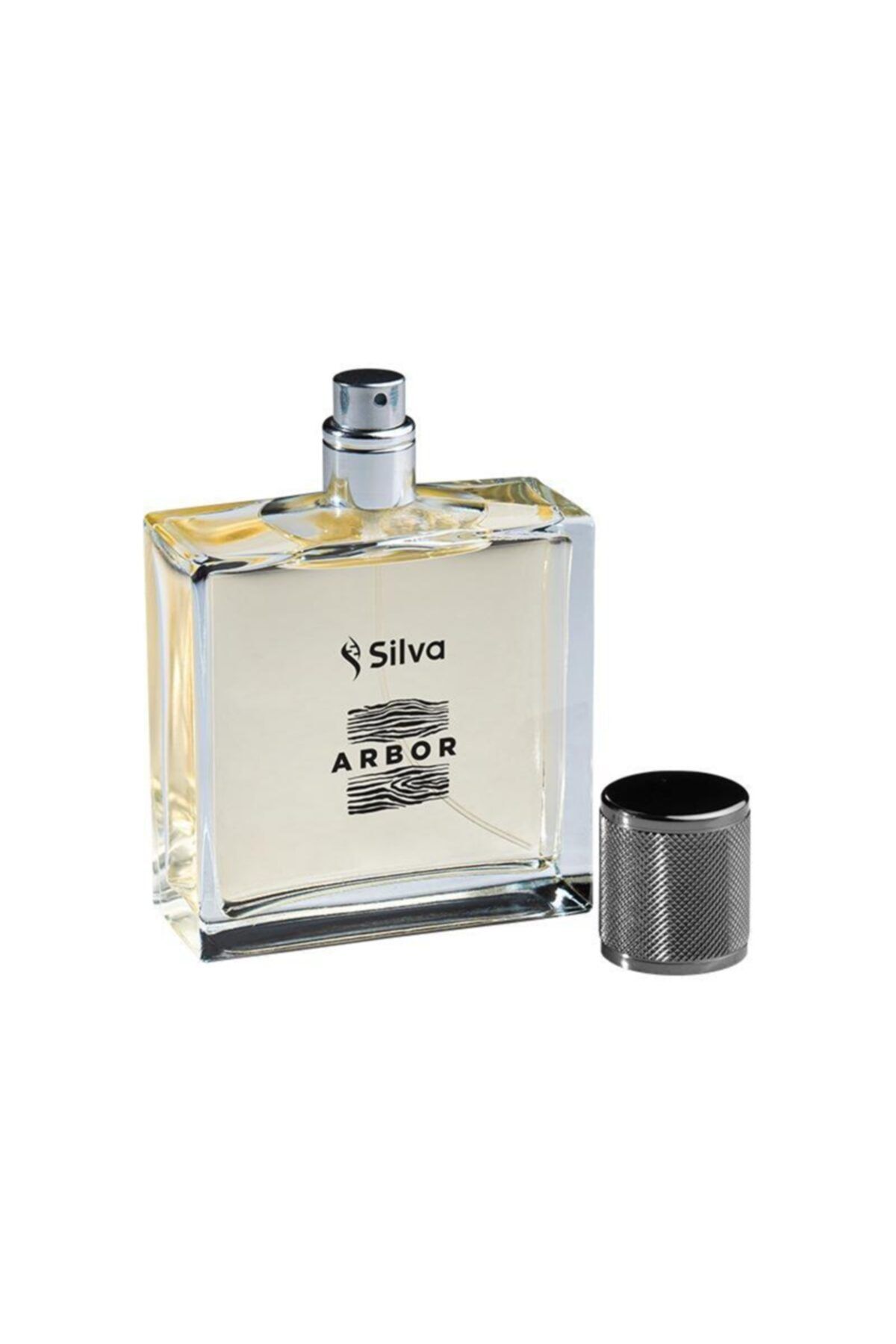 Silva Arbor Erkek Parfüm 100 Ml Edp