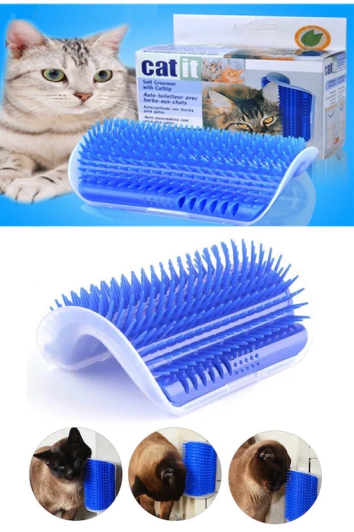 modalonga Catit Kedi Kaşınma Aparatı (mavi)