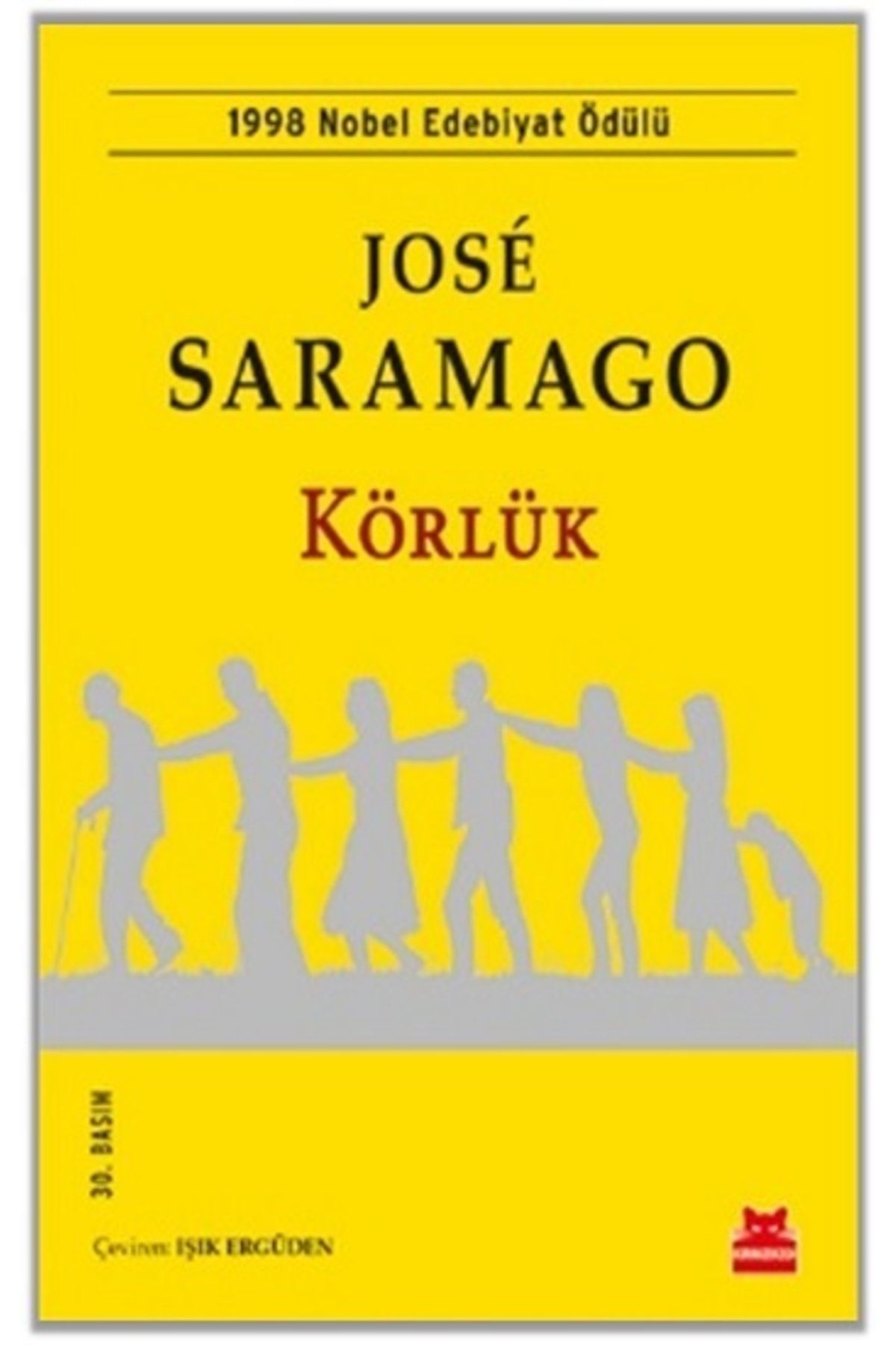 Kırmızı Kedi Yayınları Körlük, Jose Saramago, Kırmızı Kedi Yayınevi, Körlük Kitabı, 336 Sayfa