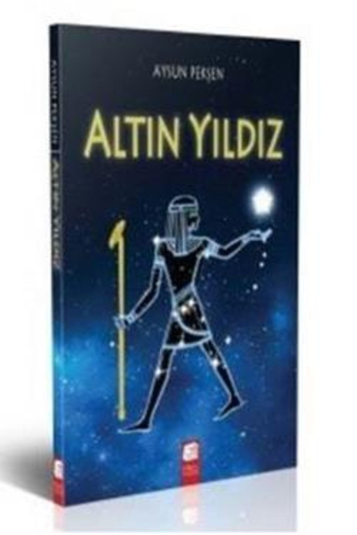 Final Yayınları Altın Yıldız, Aysun Pekşen, Final Kültür Sanat Yayınları, Altın Yıldız Kitabı, 264 Sayfa