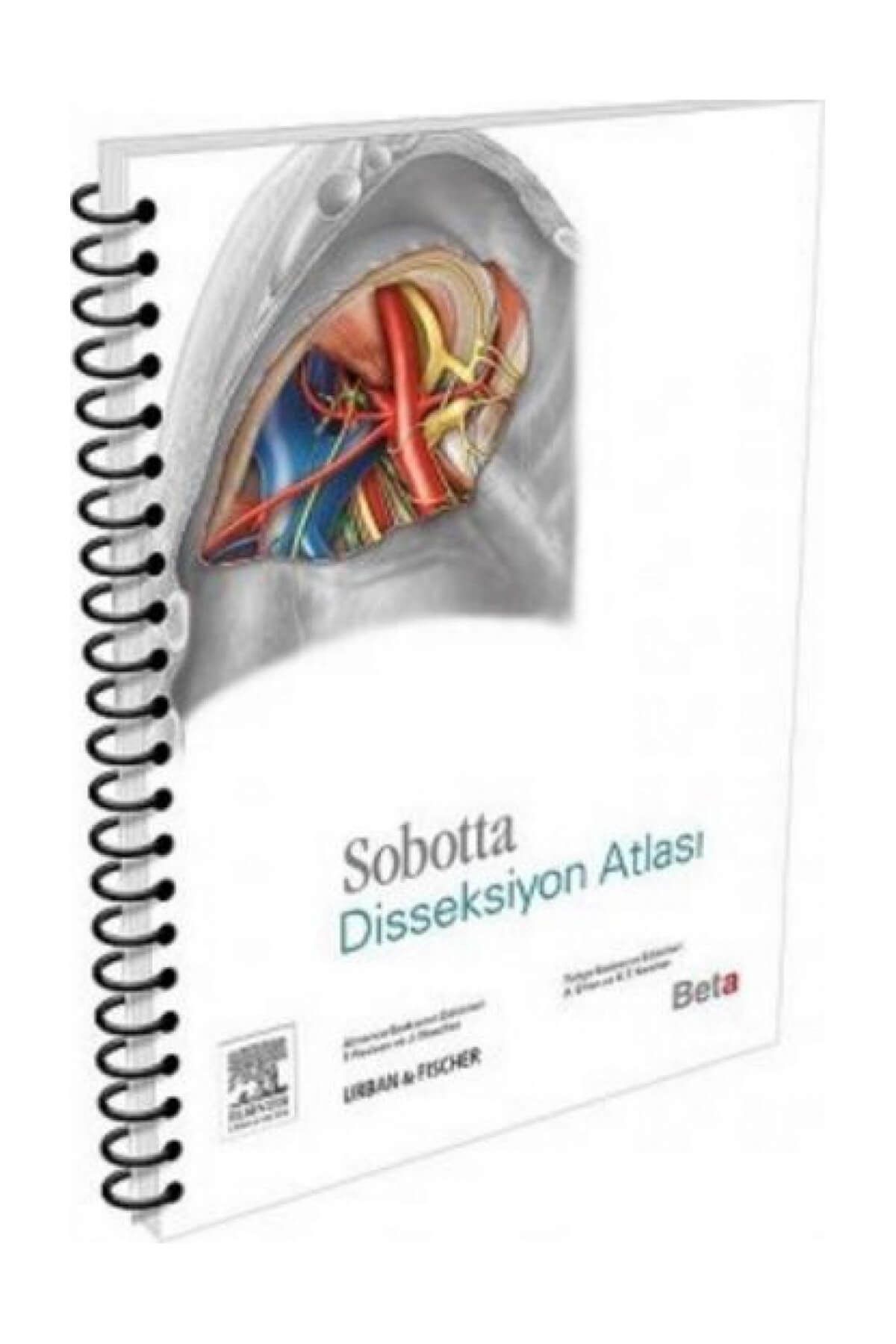 Beta Yayınları Sobotta Disseksiyon Atlası - Kolektif