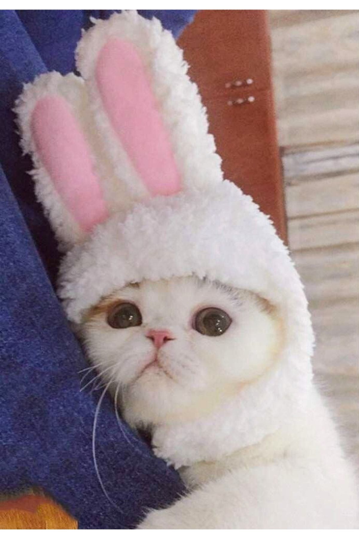 ALAMODECOR Beyaz Pembe Kulaklı Kedi Şapkası | Kedi Kıyafeti