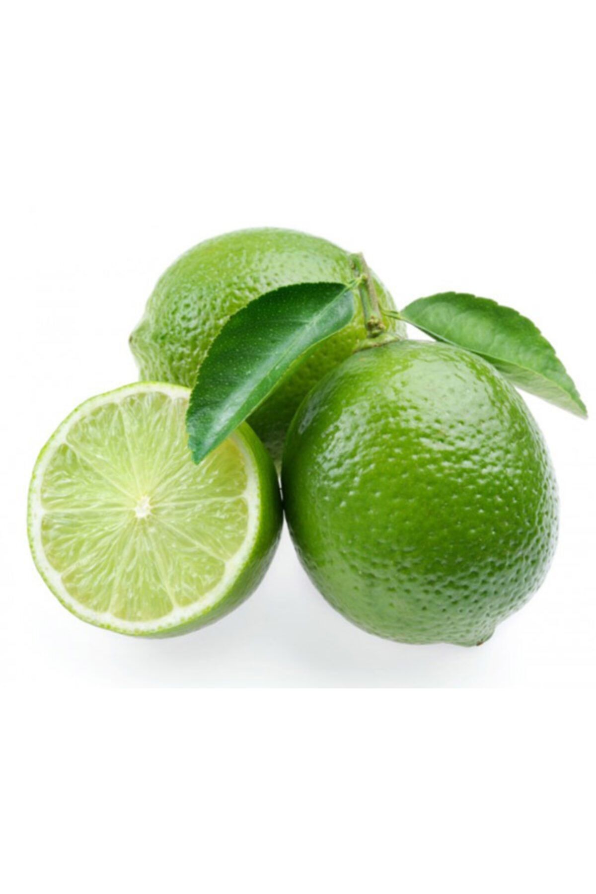 BURSATARIM Lime Limon ( Yeşil Limon ) Fidanı