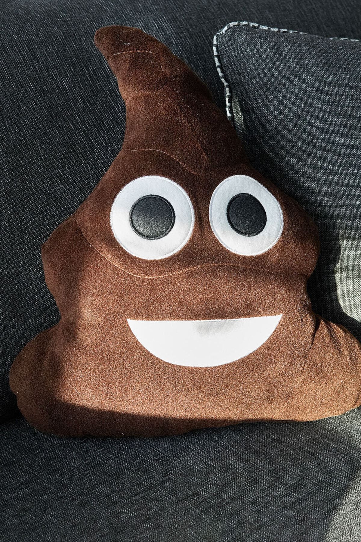 Hediyesepeti Emoji Yastık - Gülen Kaka Yastık - Poo Emojili Sevimli Peluş Yastık