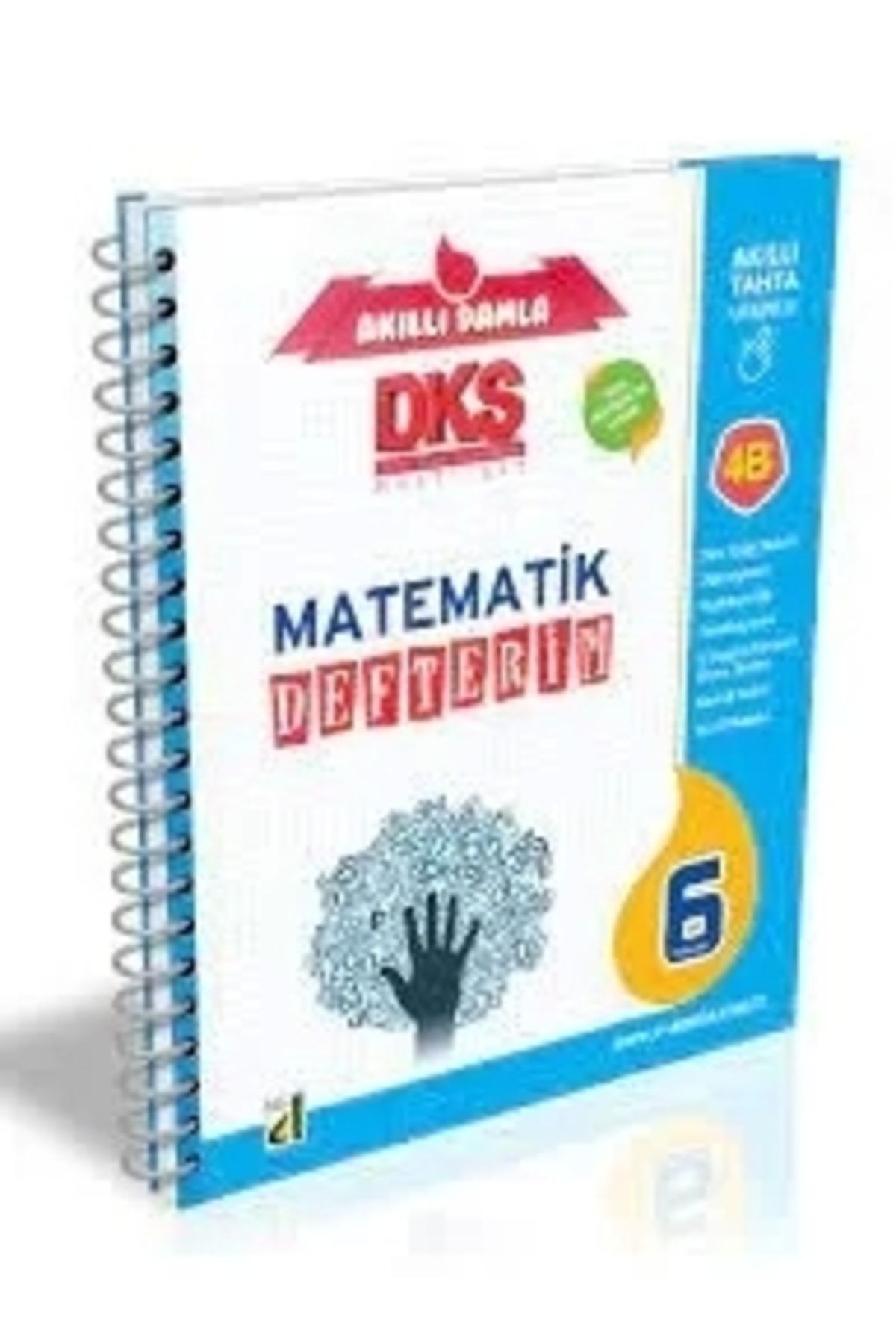 Damla Yayınları Damla 6.sınıf Matematik Defterim